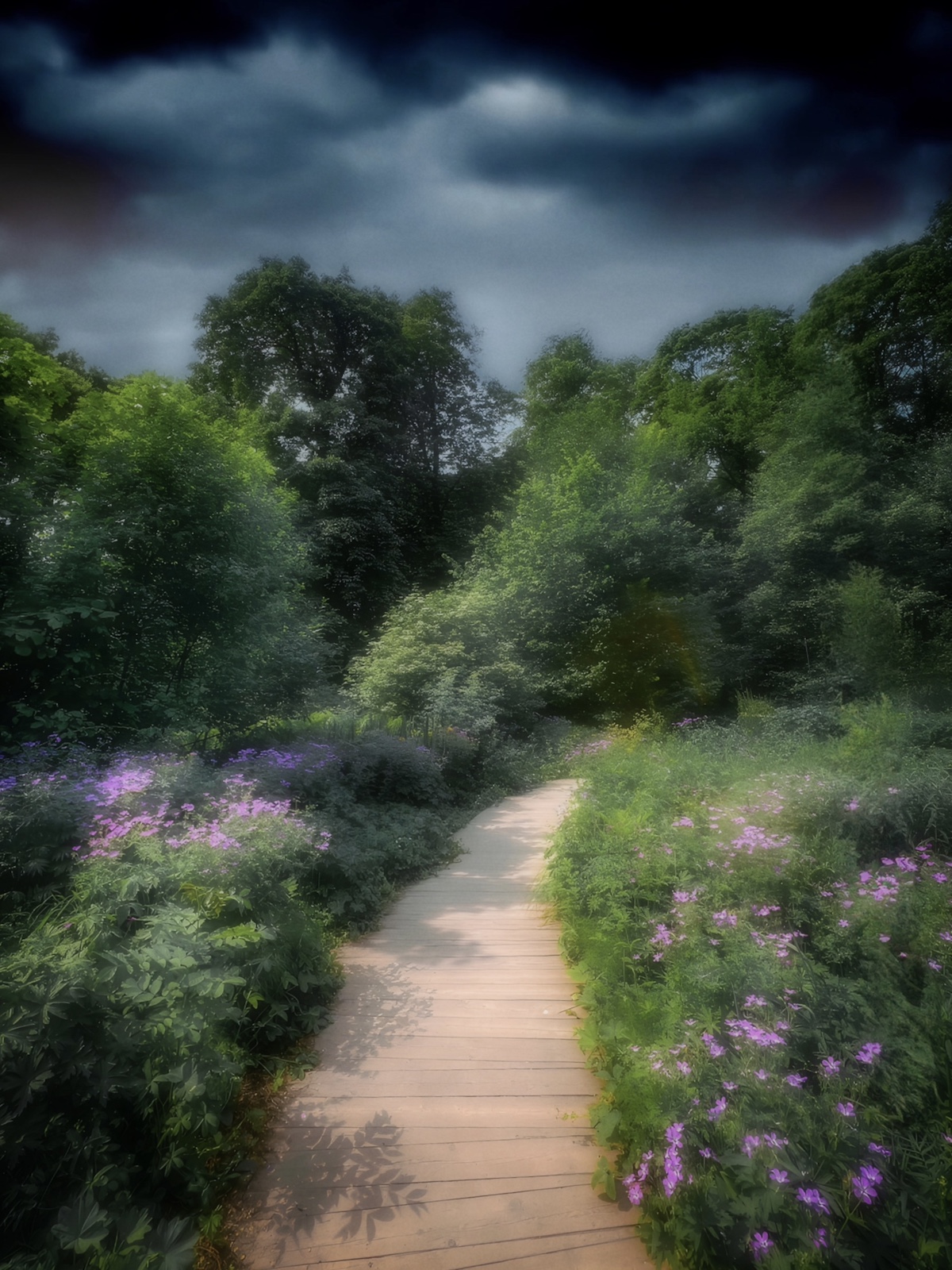 пейзаж, landscape, nature, природа, лето, summer, цветы, flowers, Julia Kaissa