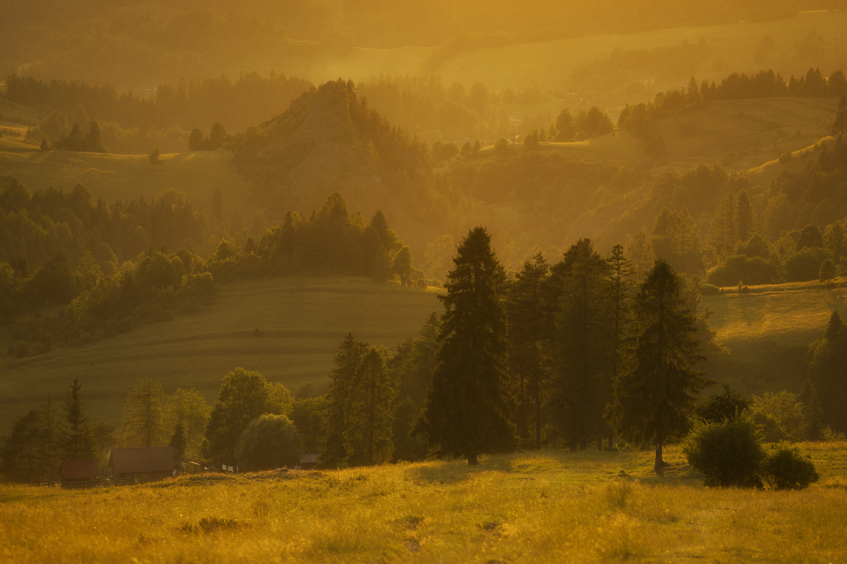 Horizontal, Landscape, Nature, Tree, Mountain, Forest, Fog, Hill, Summer, Pieniny, Poland, Damian Cyfka