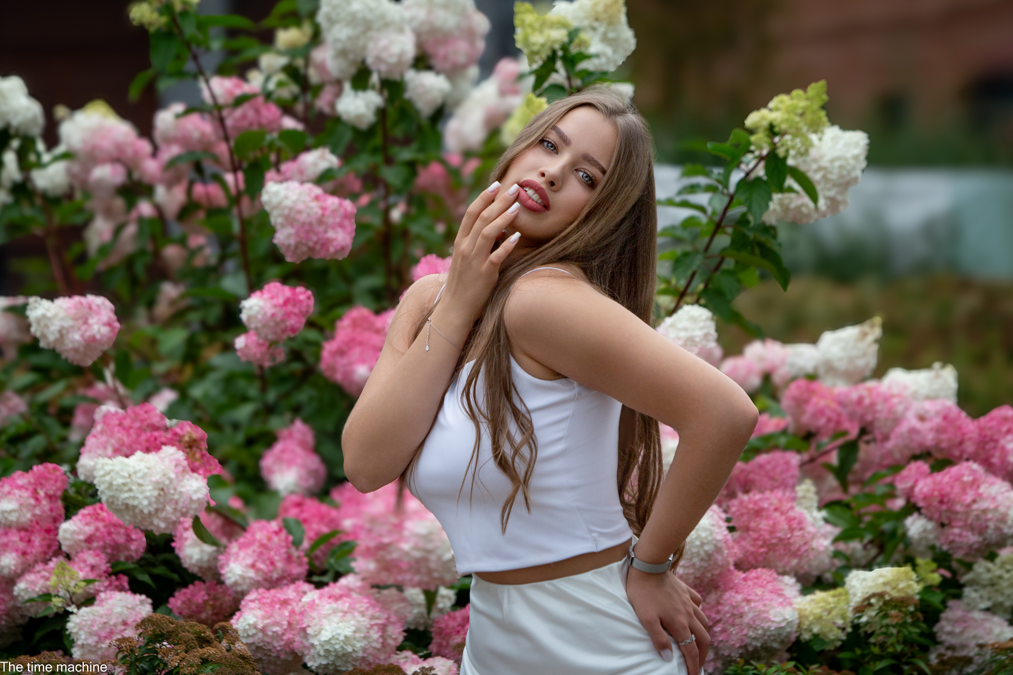 , Михаил Бове