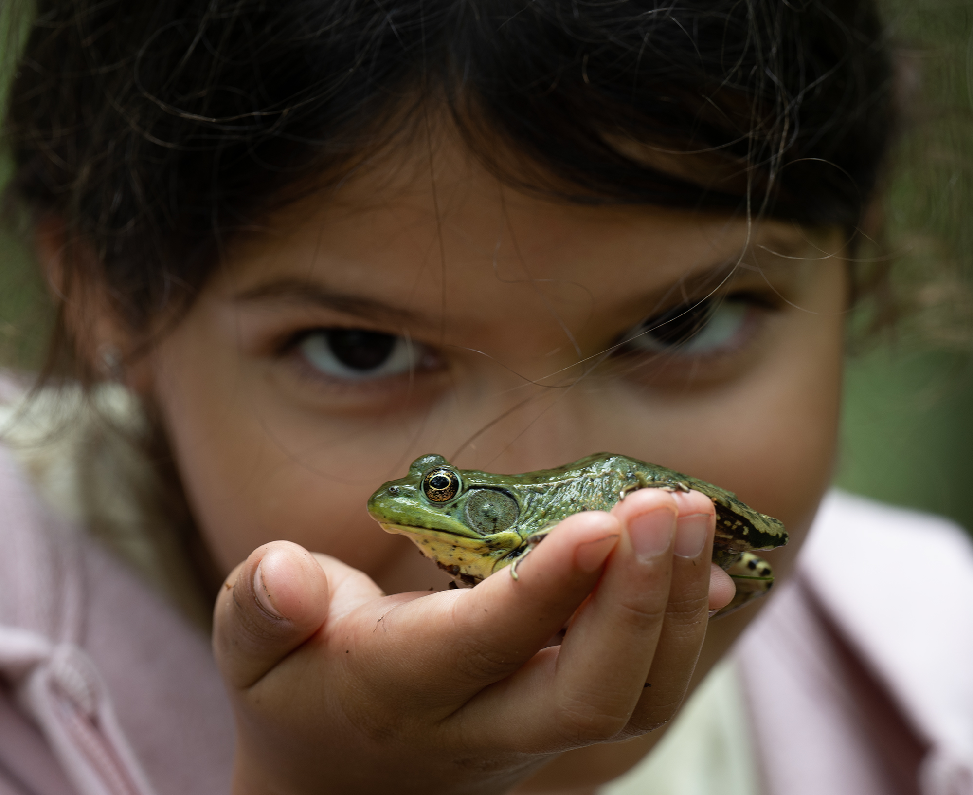, Vorobeychik Vladimir