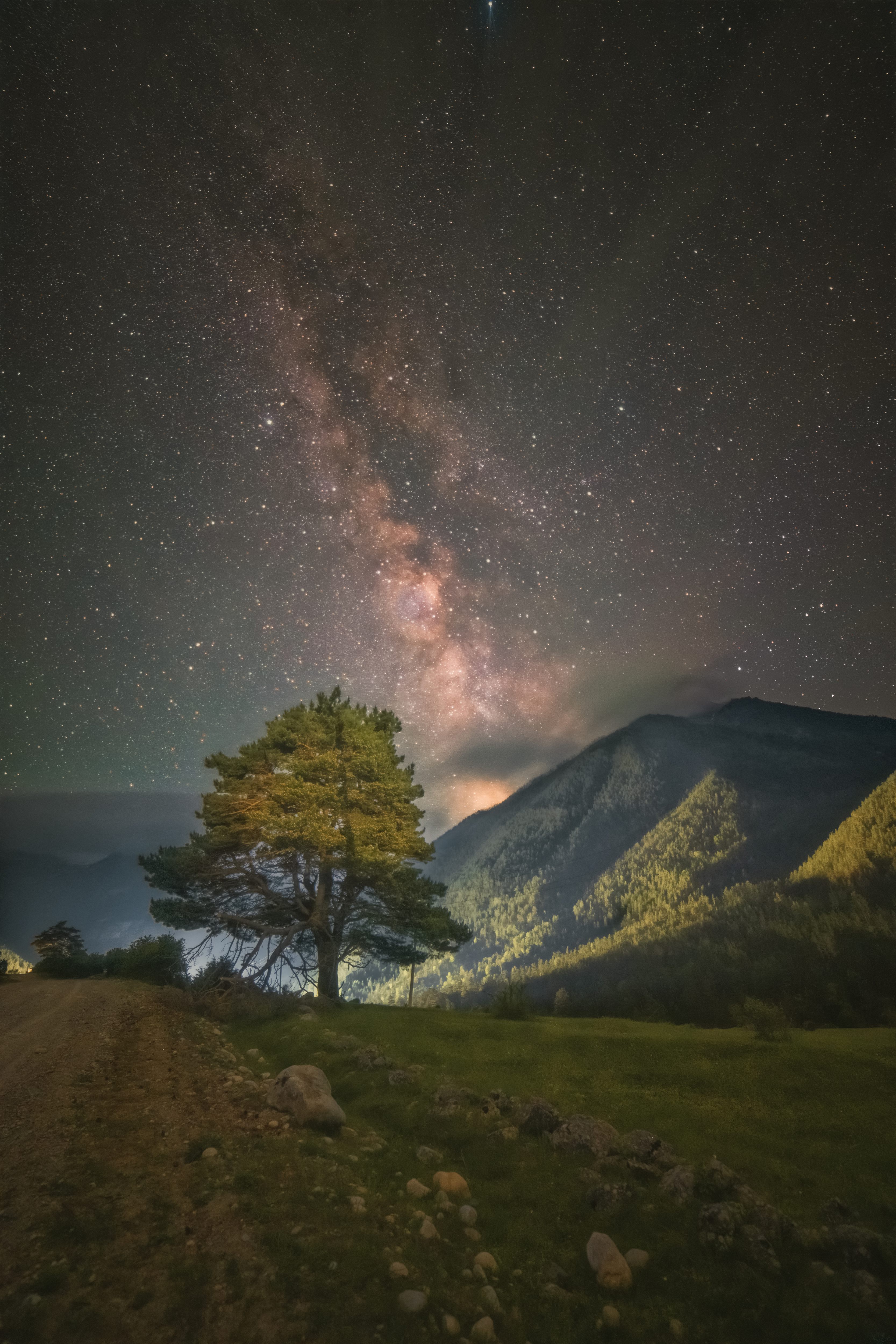 звезды, ночь, млечный, путь, кавказ, горы, сосна, дерево, Третьякова Анастасия