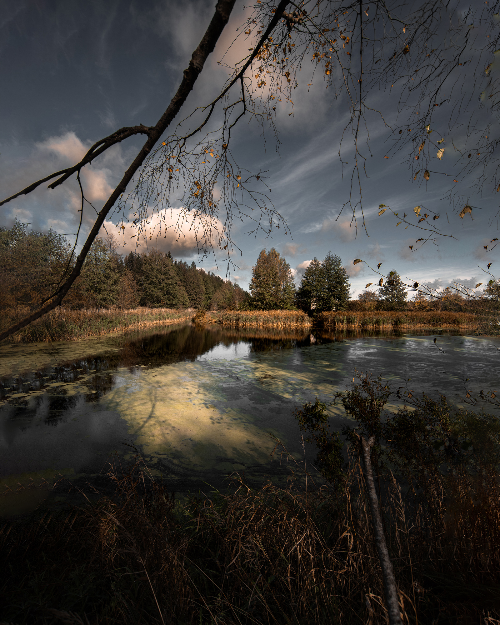 , Колесенко Иван