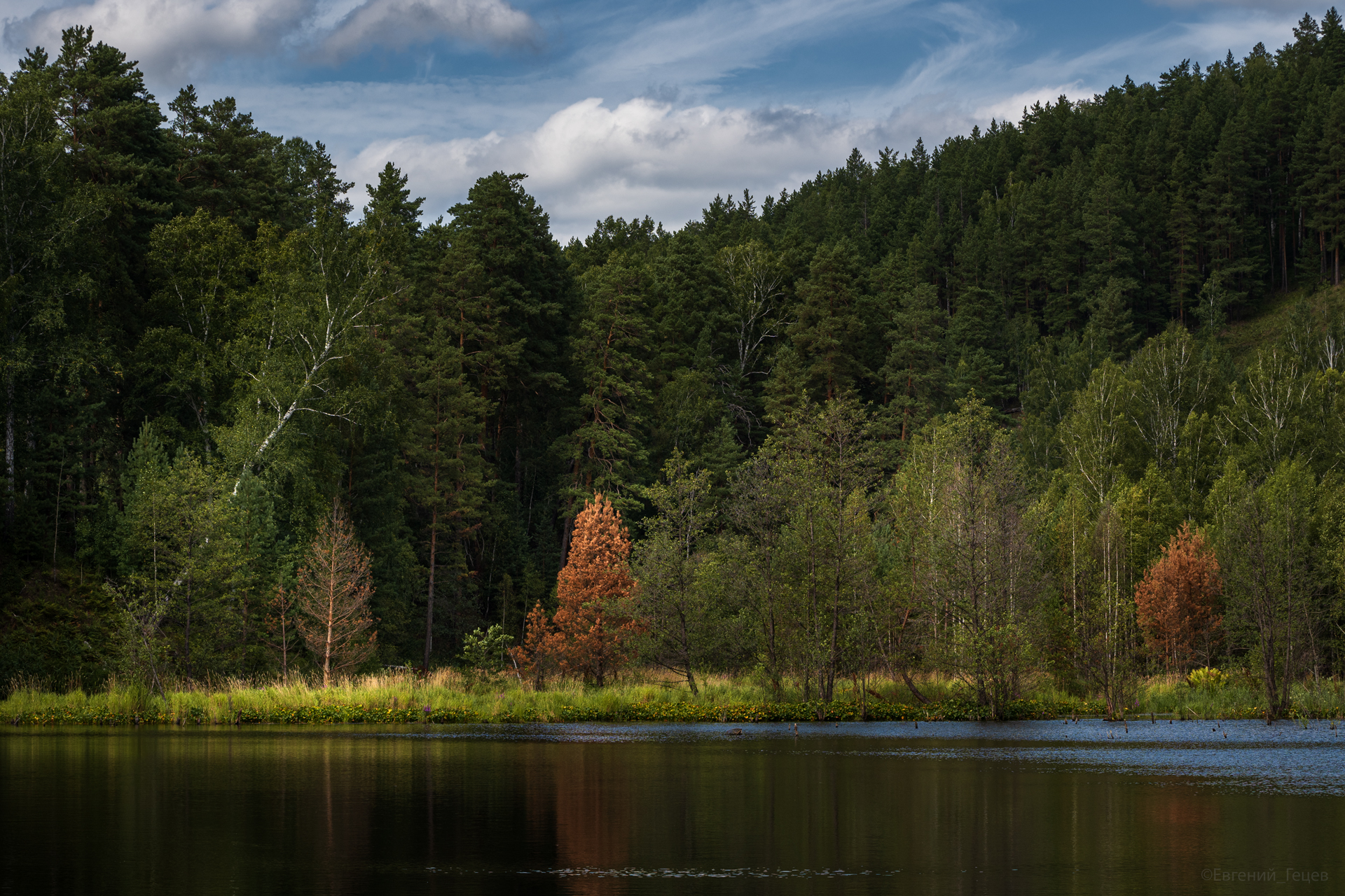 пейзаж, россия, урал, тайга, пруд, лес, Евгений Гецев