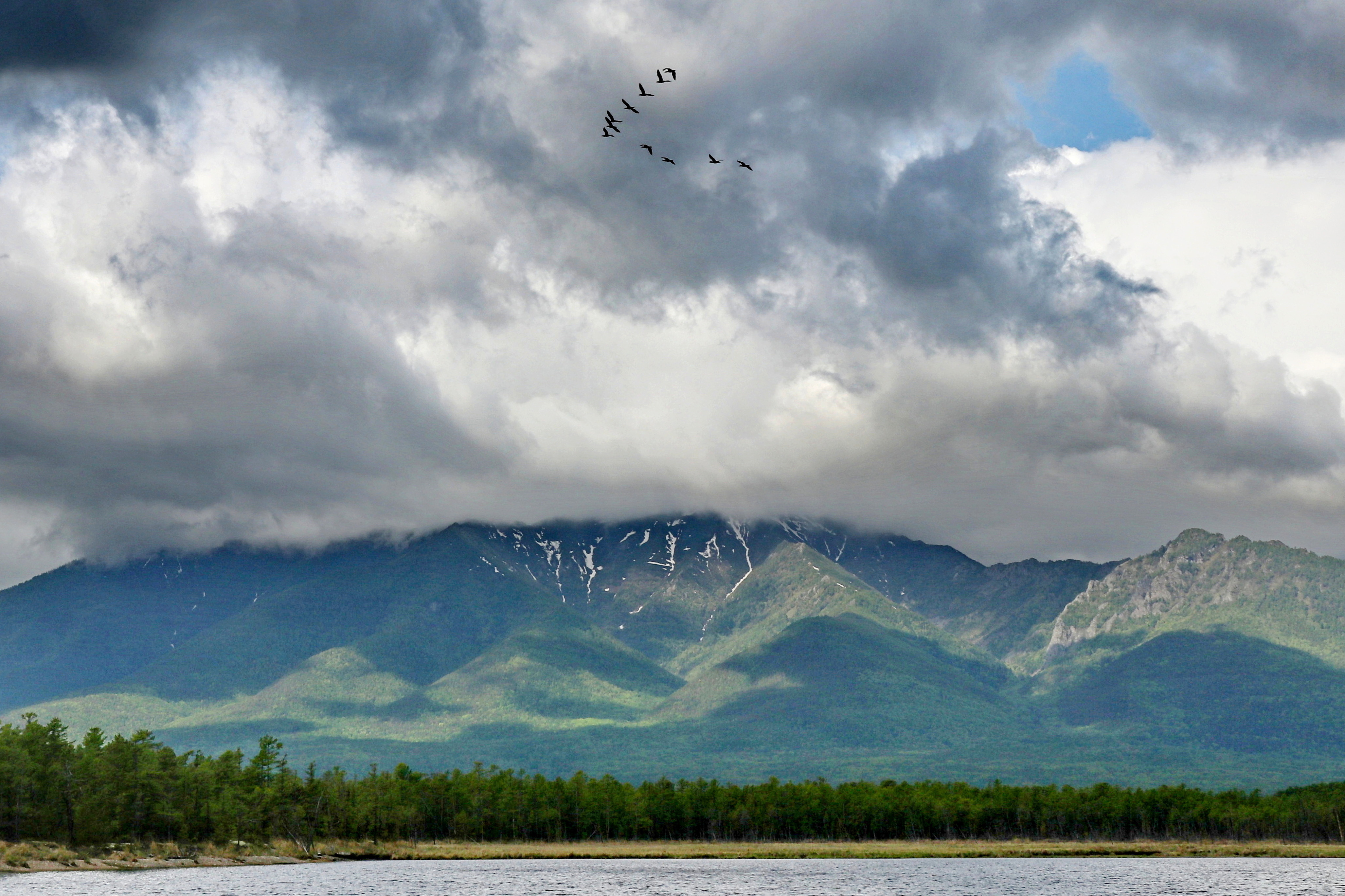 , Добролюбова Тамара