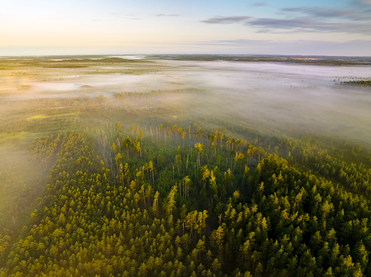 , Абросимов Александр