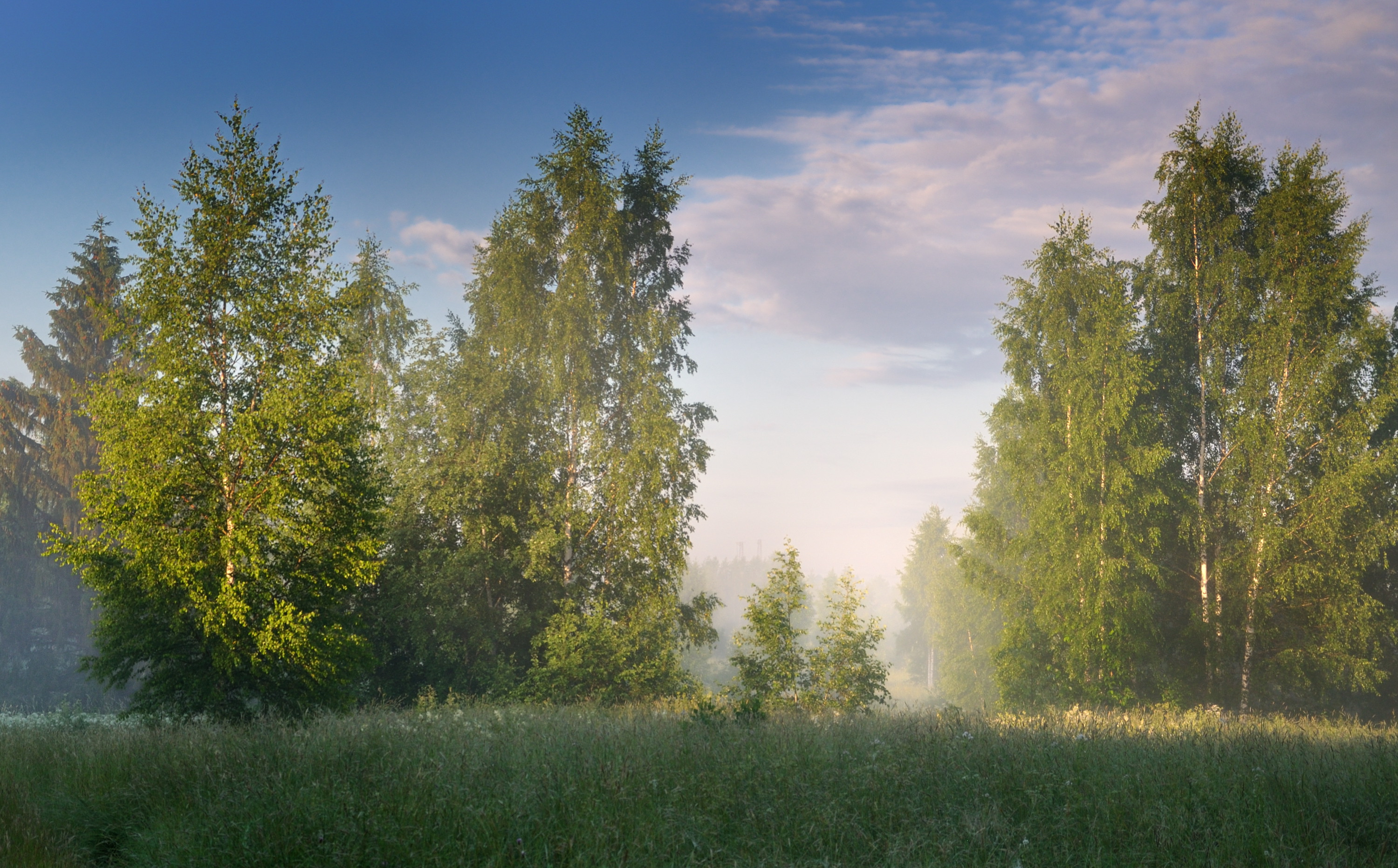 , Андрей Куликов