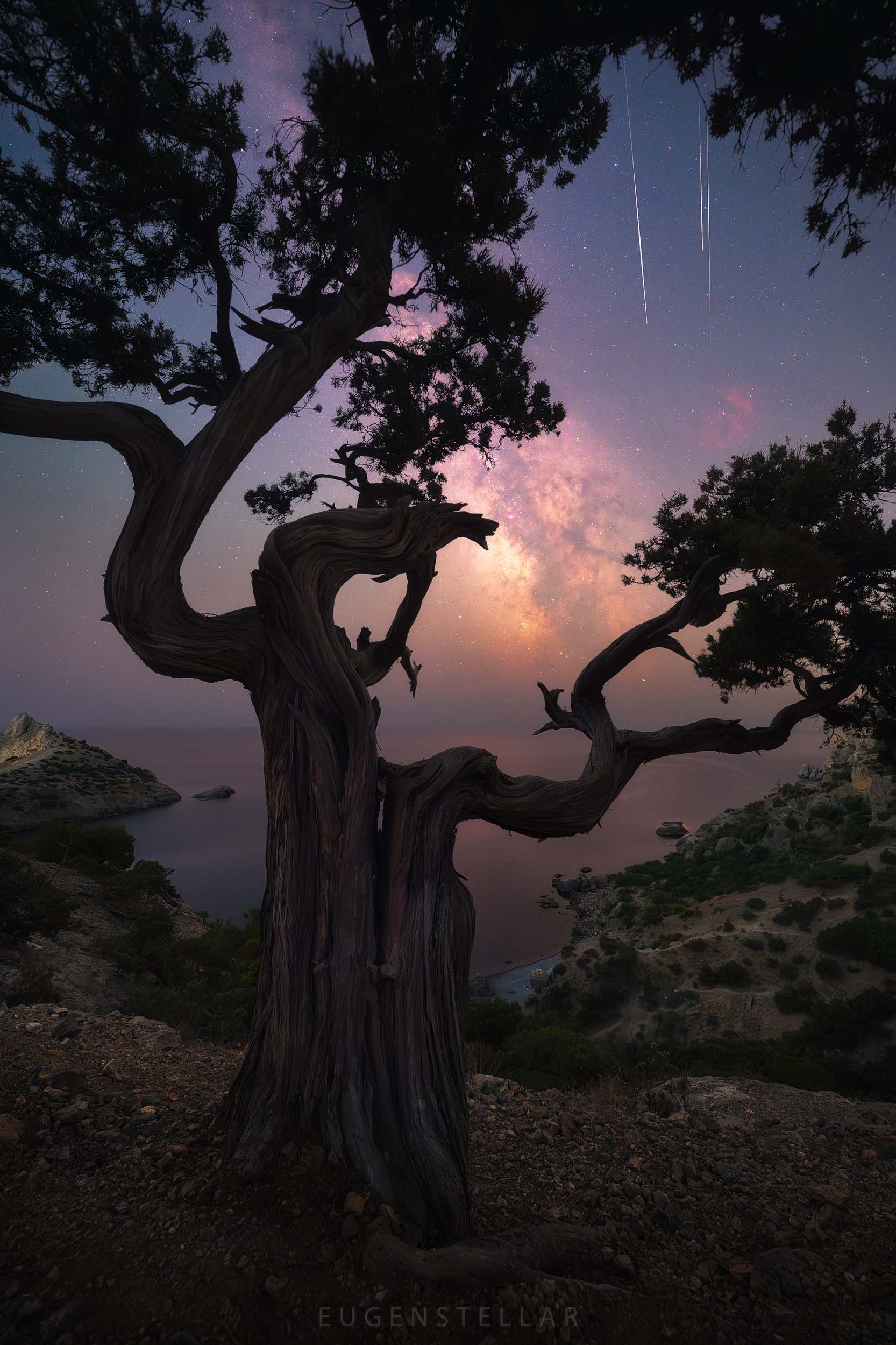 ночь, млечный путь, можжевельник, море, горы, звезды, крым, Женя Зайцев