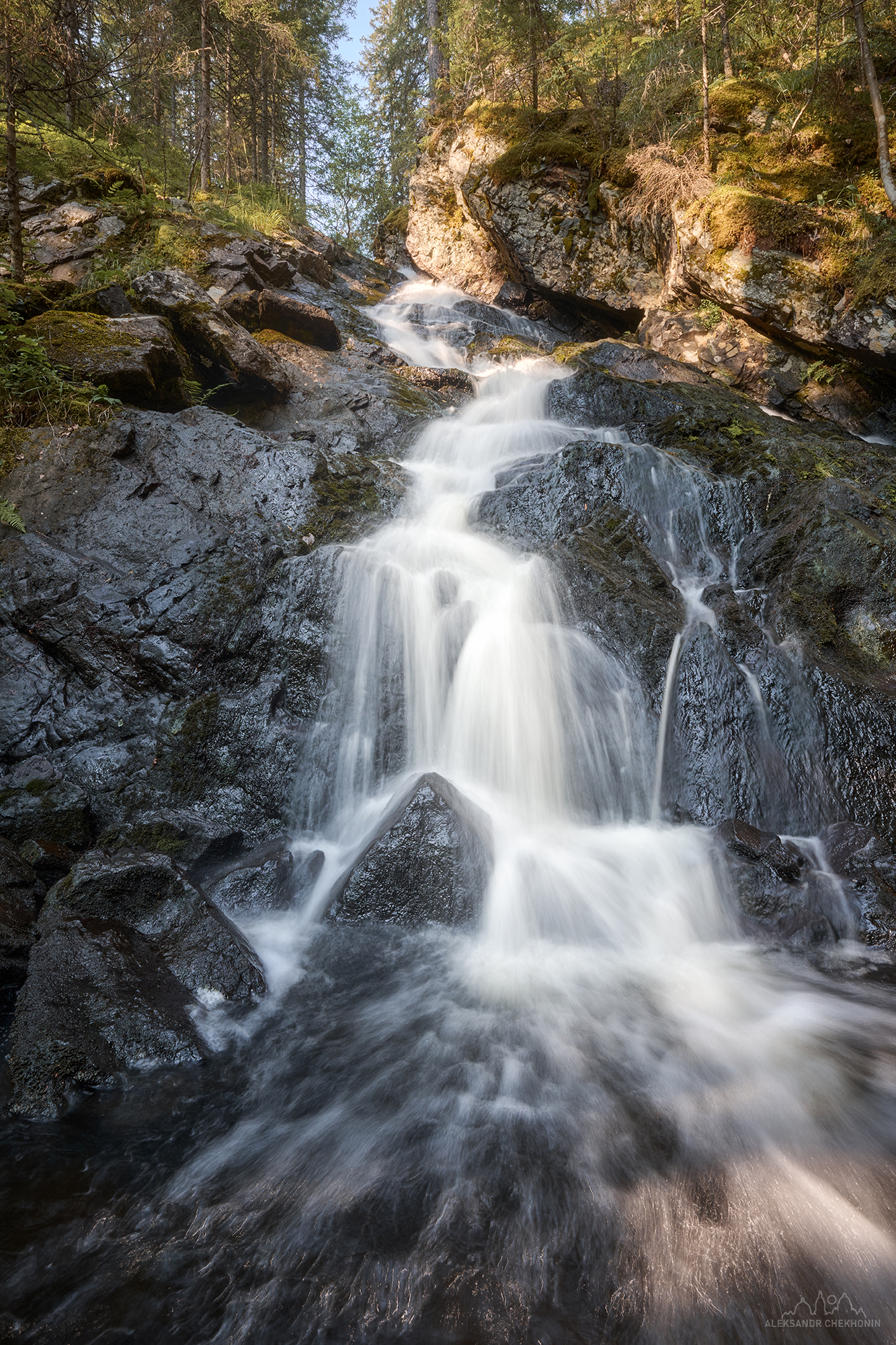 , Чехонин Александр