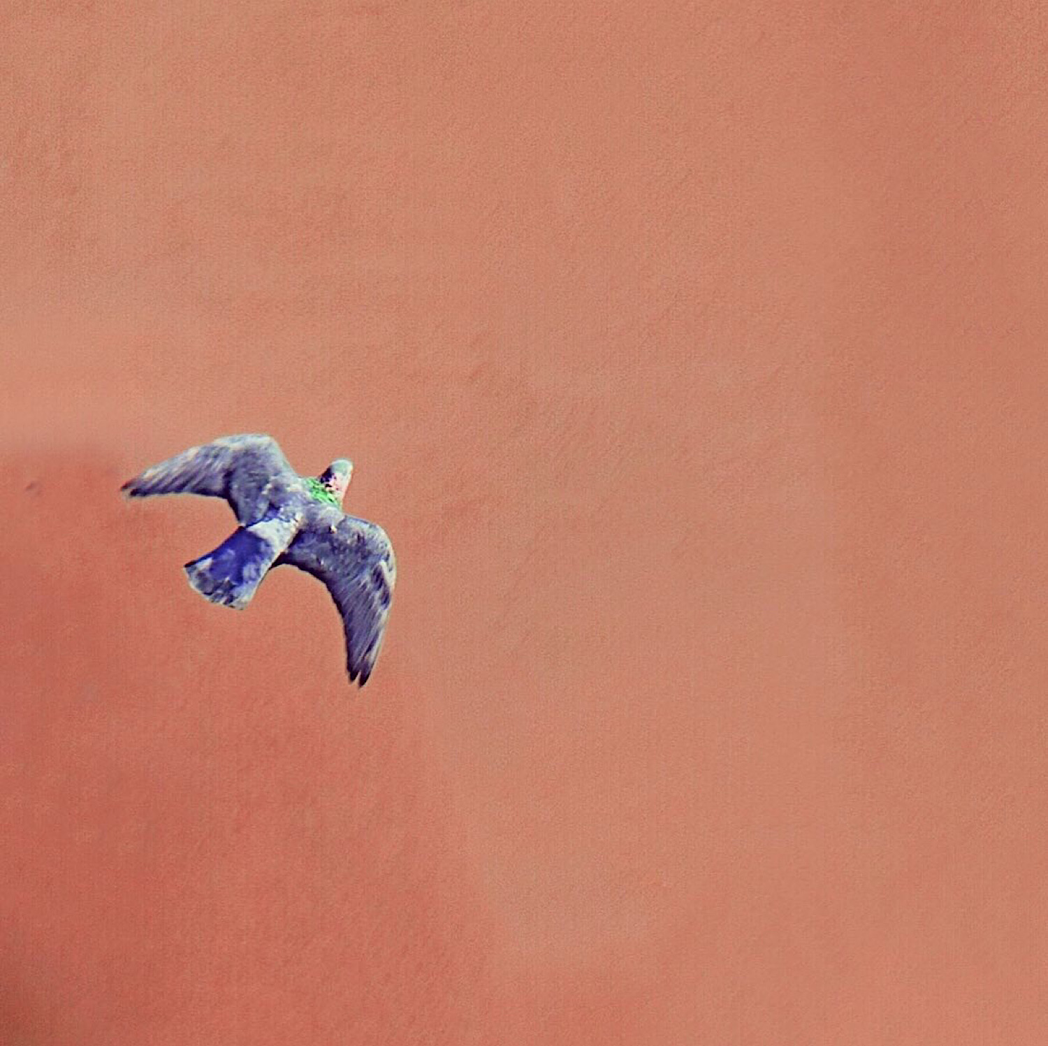 , Орлова Ксения