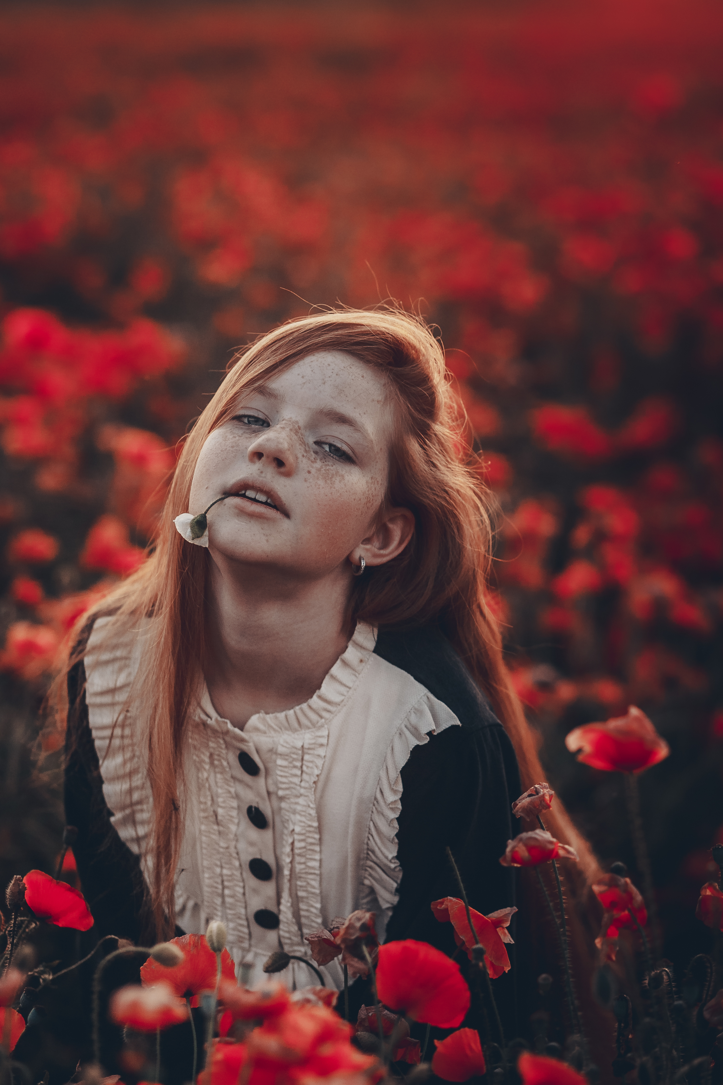 35mm, 4x5, 6x6, 6х6, 85mm, Art, Artnude, Ballerina, Ballet, Battur, Beautiful, Beauty, Canon, Canon 5D Mark III, Car, Color, Dance, Dress, Emotion, Eyes, Face, Flowers, Ganzo, Genre, GirlHair, Hero,LightLilac, Model, Mongol, Mongolia, Вероника Гергерт