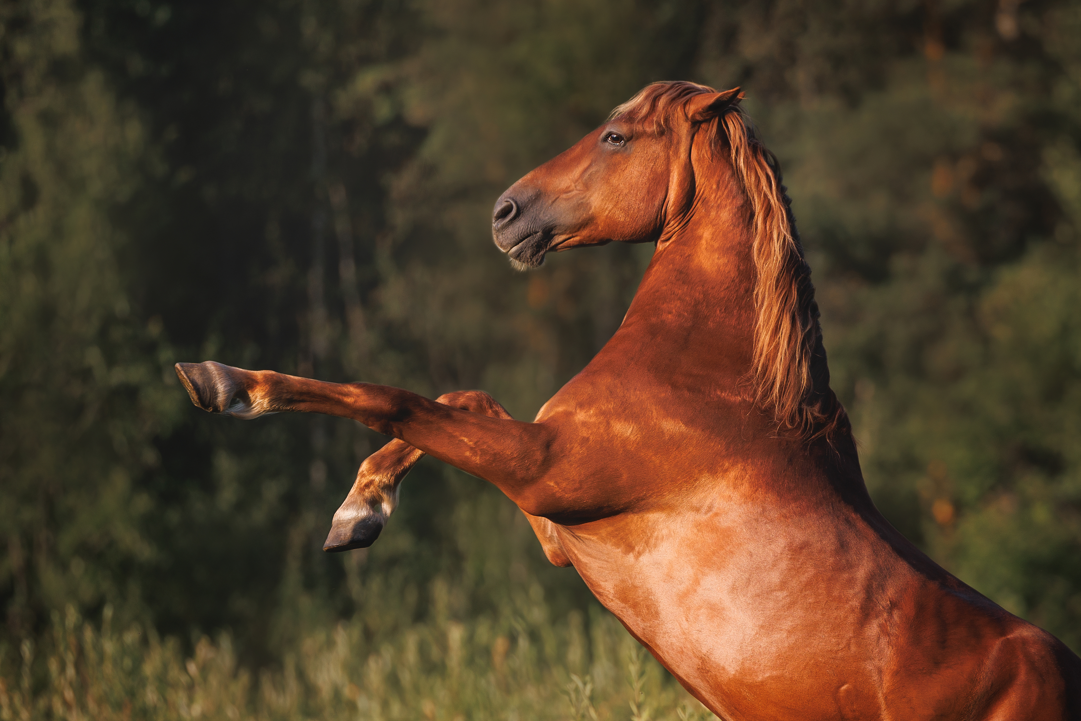 , Яна Нарбутович