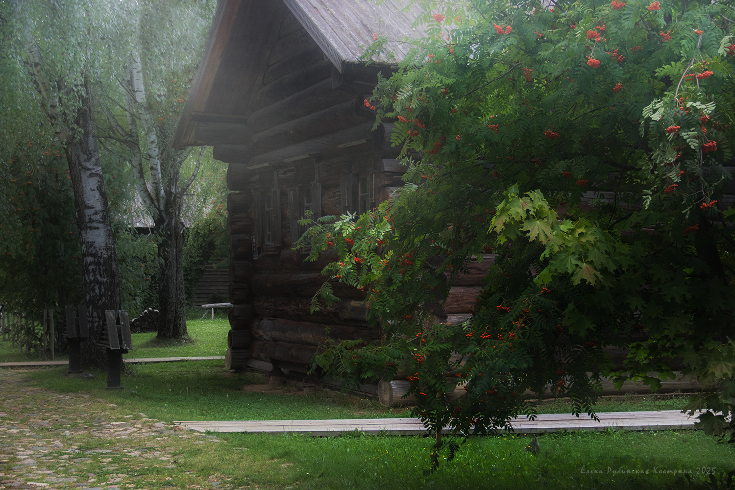 , Елена Рубинская