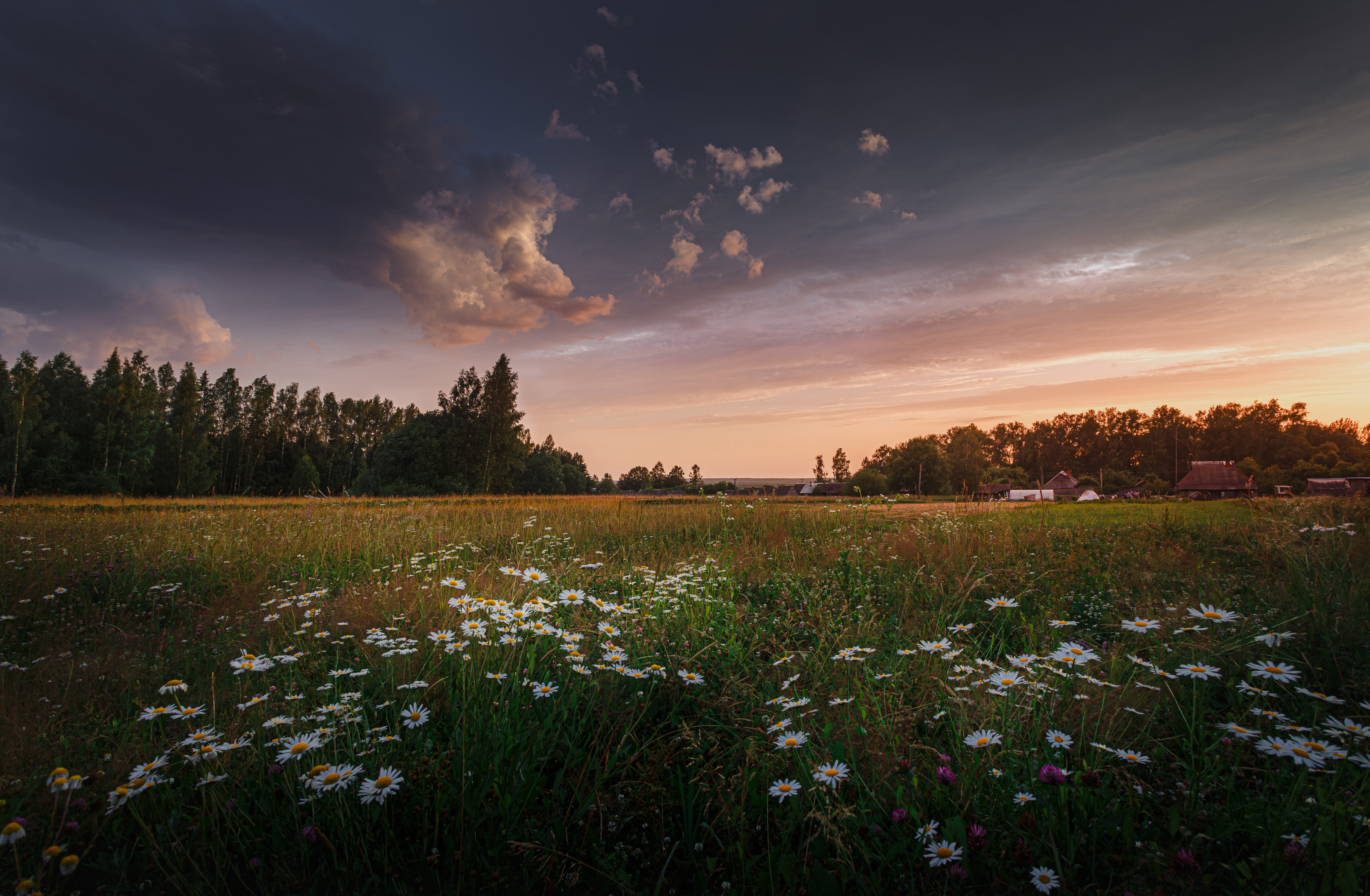 рассвет, торбеево, Зеленько Дмитрий