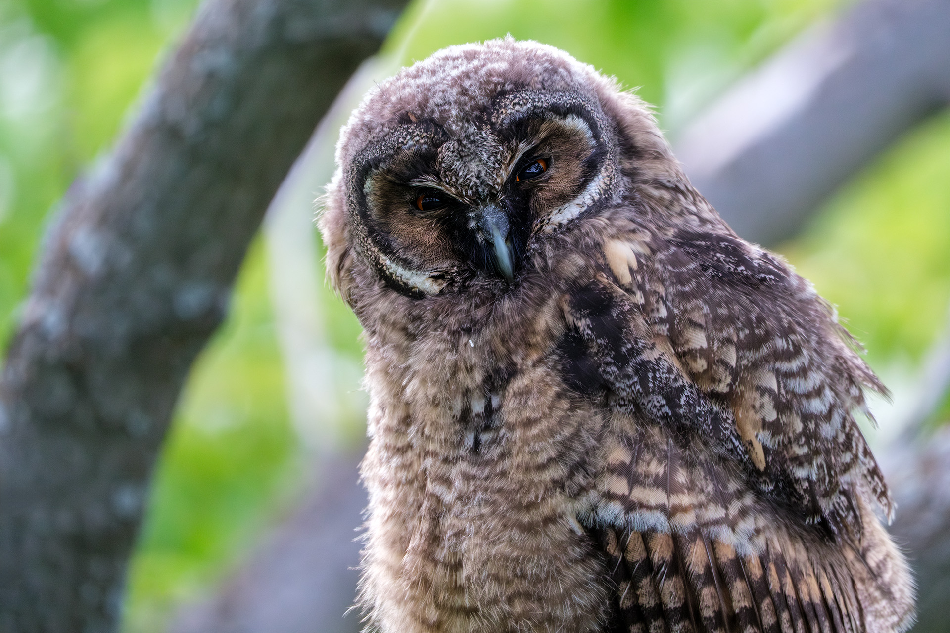 , Бодрягин Виталий