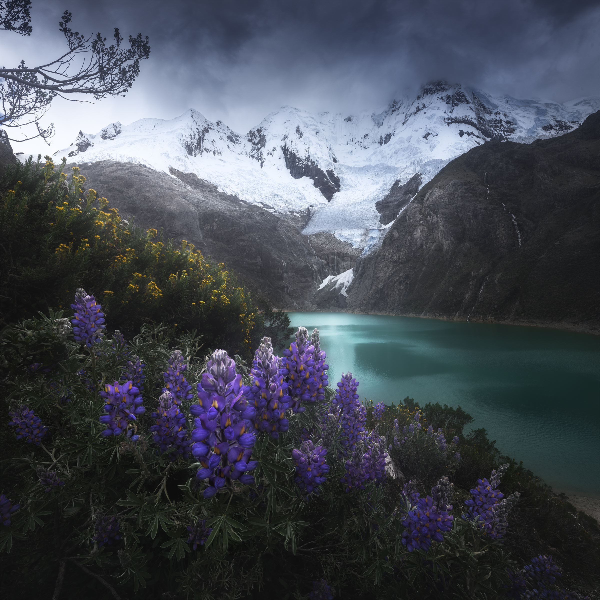 , Политова Анна