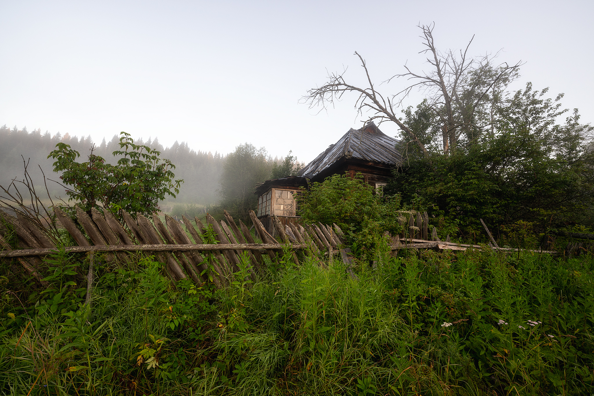 пермский край, пейзаж, рассвет, красота природы, поле, лето, река, природа, дикая природа, койва, лес, усть-койва, Кузнецов Кирилл