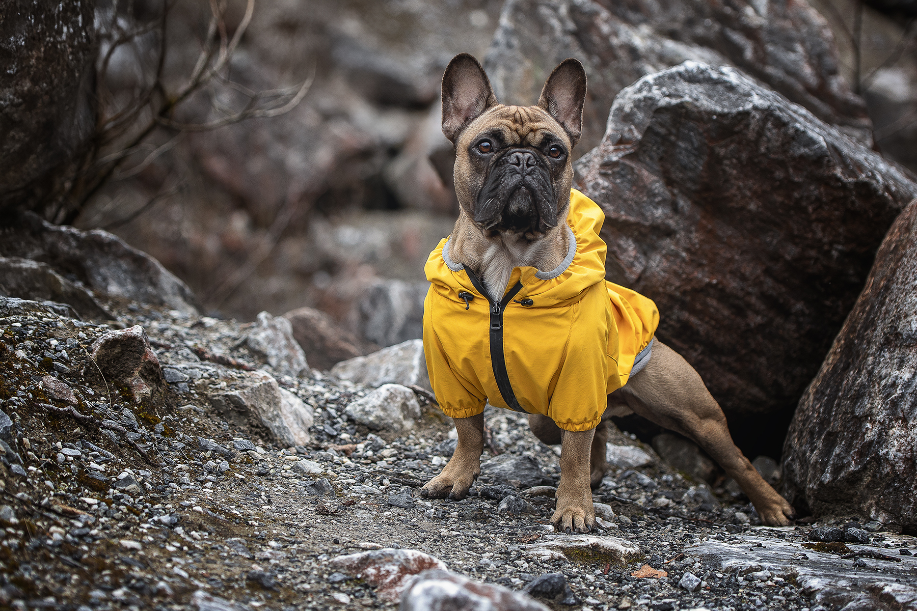 , Елена Самусенкова