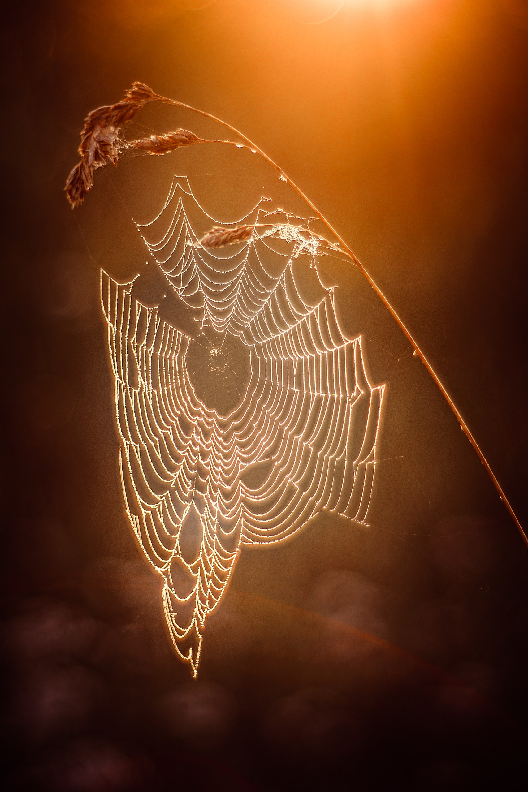 , Сергей Белокуров