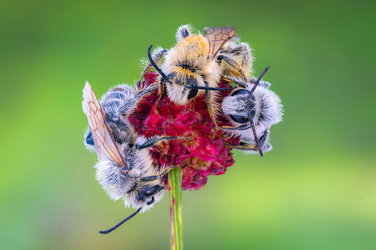 , Сергей Брагин