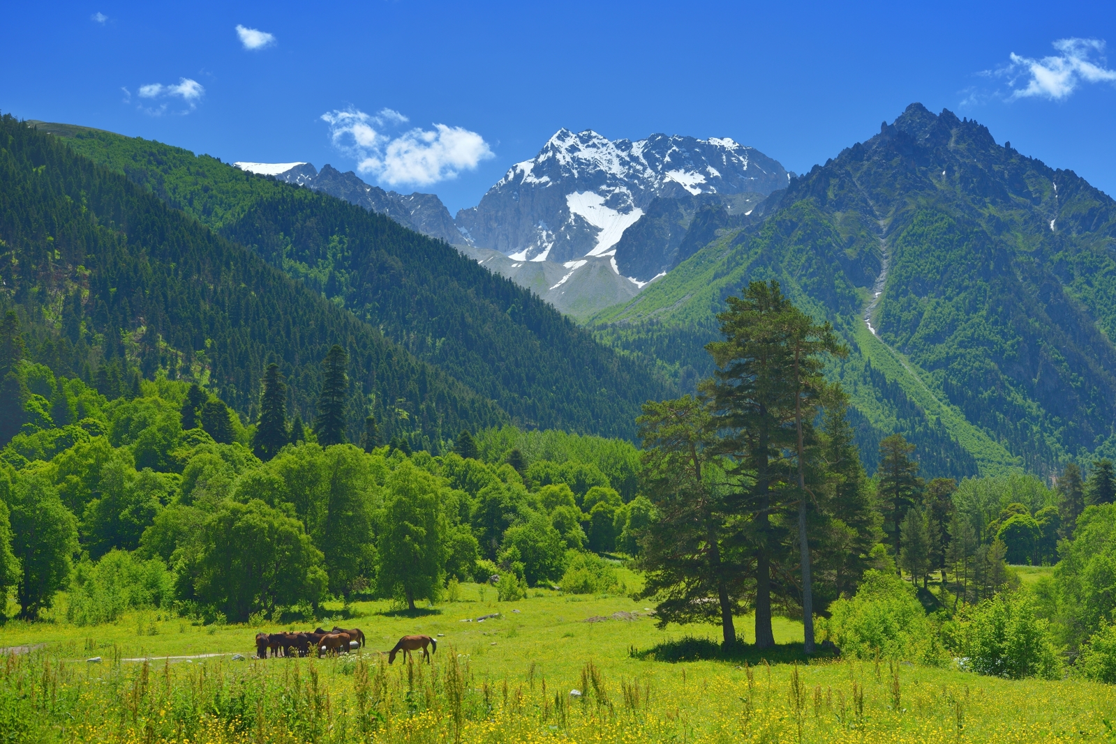 горы лето кавказ аксаут, Александр Жарников