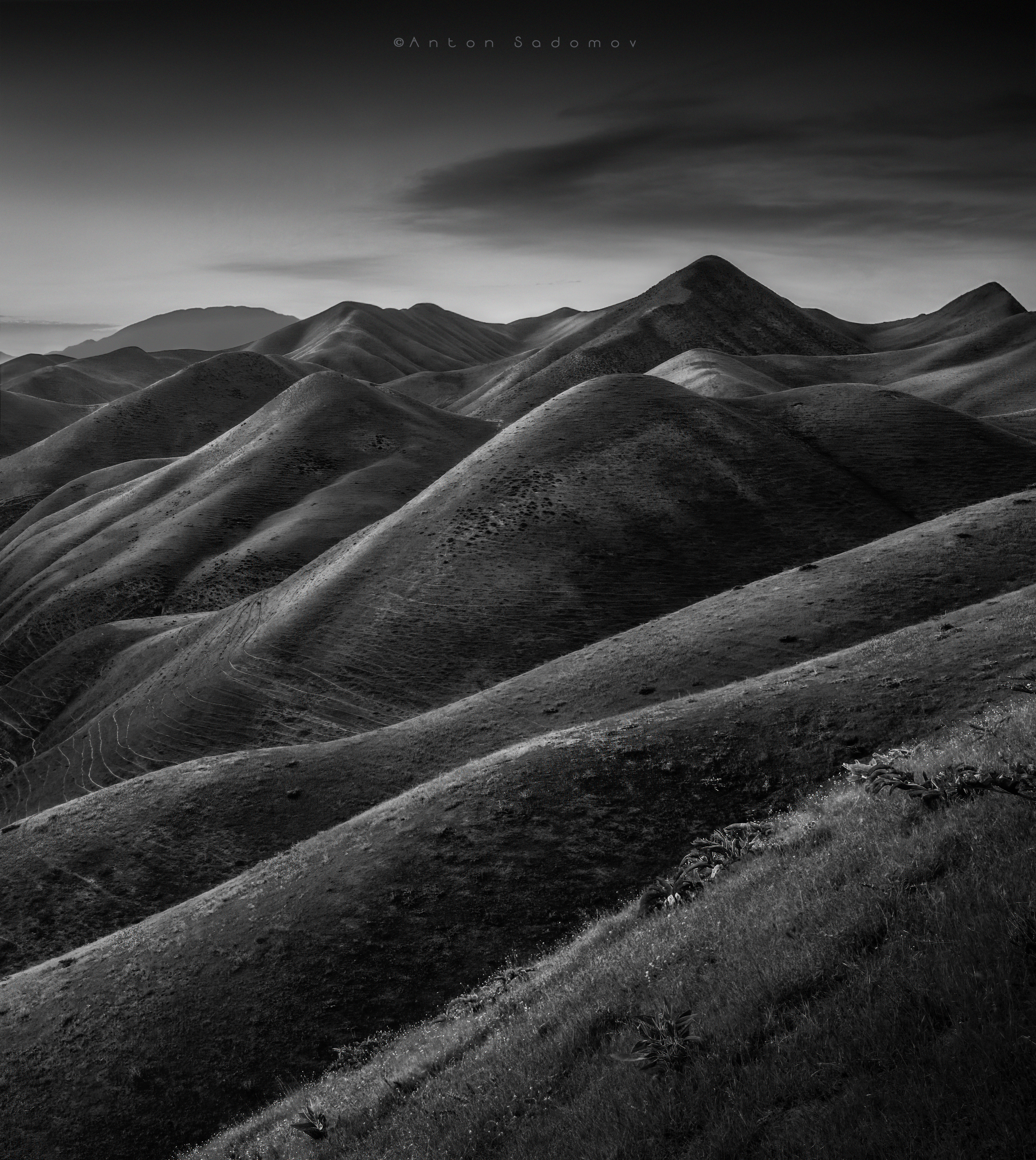 , Антон Садомов