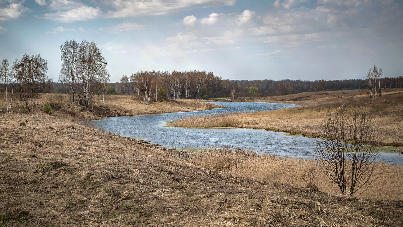 , Евгений Кутузов