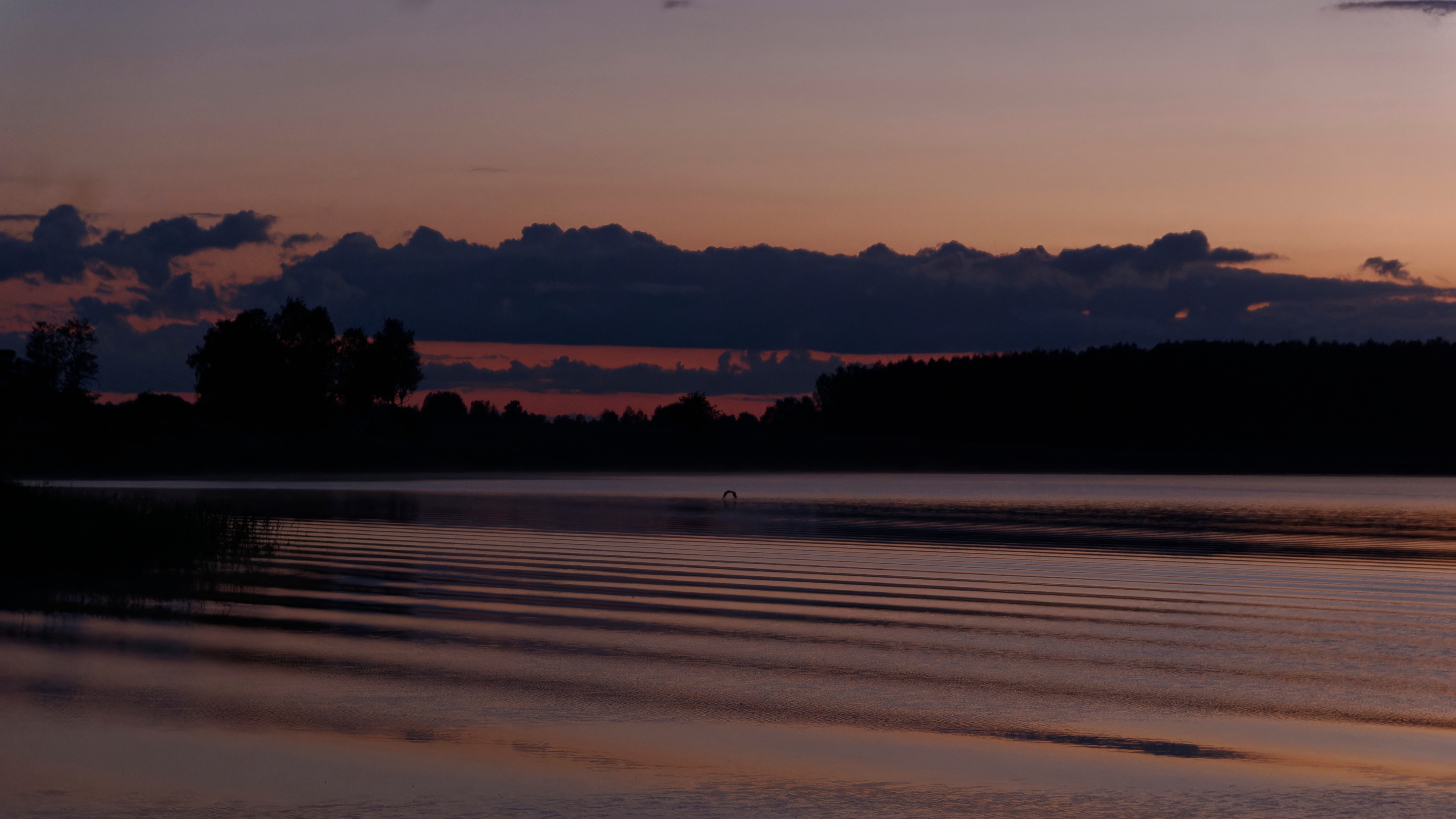 , Кирилл Корякин