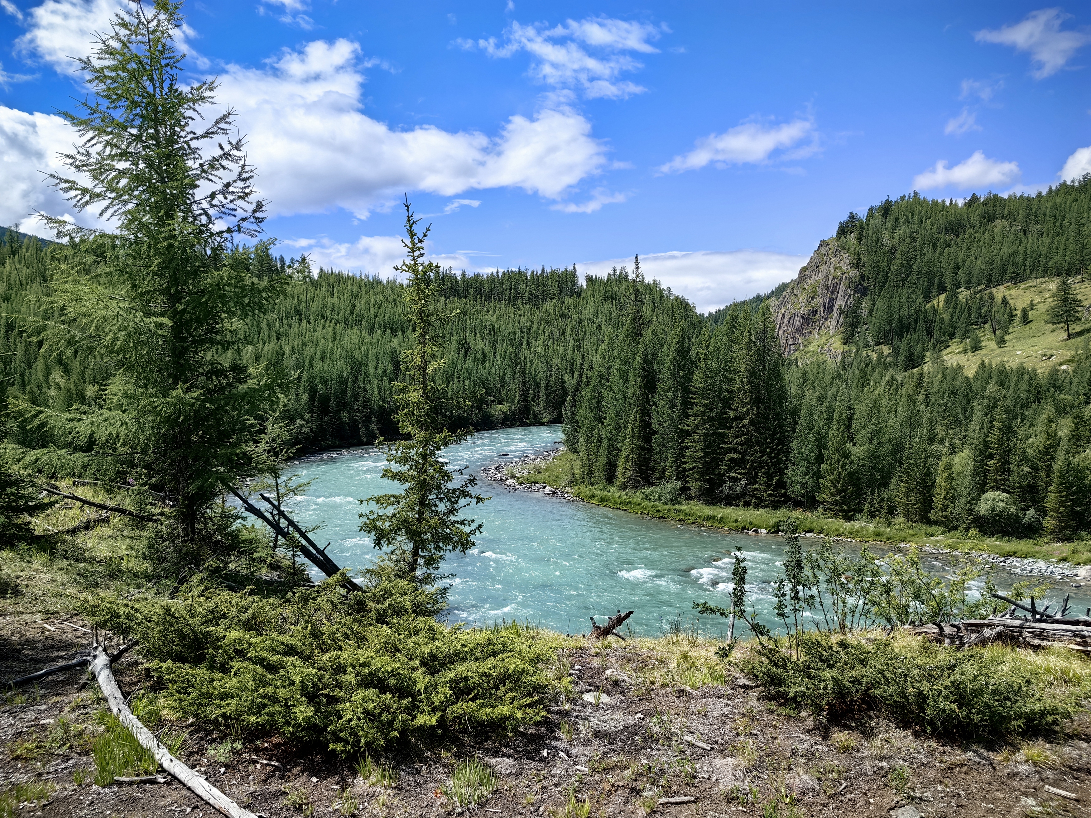 природа,алтай,река коксу,пейзаж, Козлова Галина