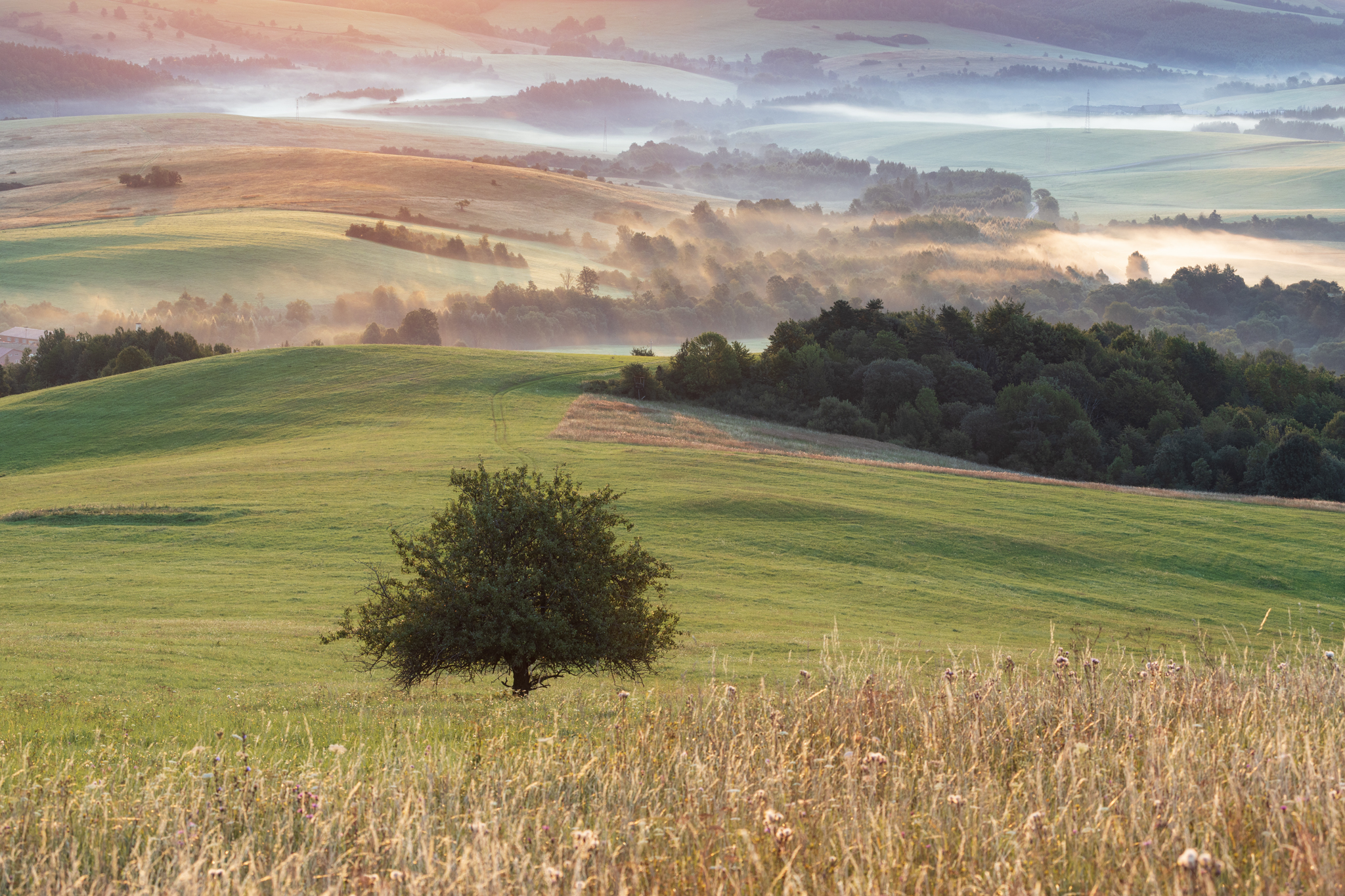,  Mirosław Pruchnicki