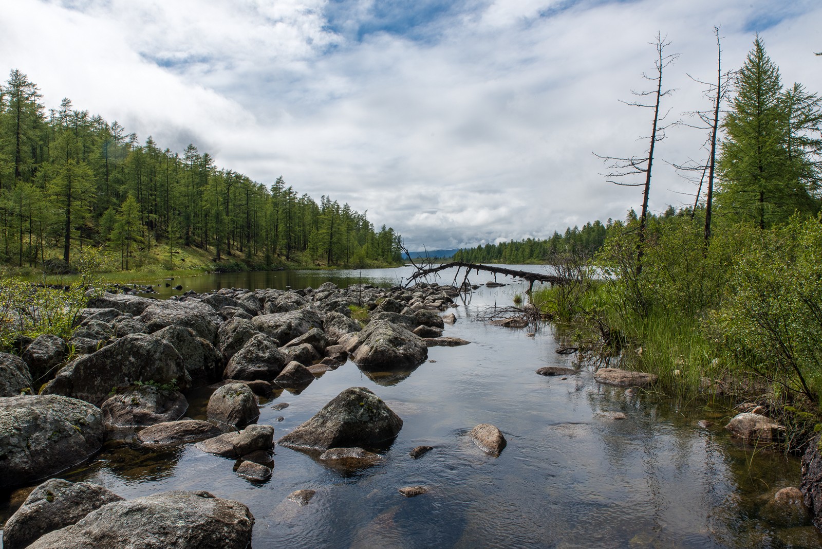 монголия, горы, лето, облака, озеро, горы, камни, река, деревья, Юрий Мальцев
