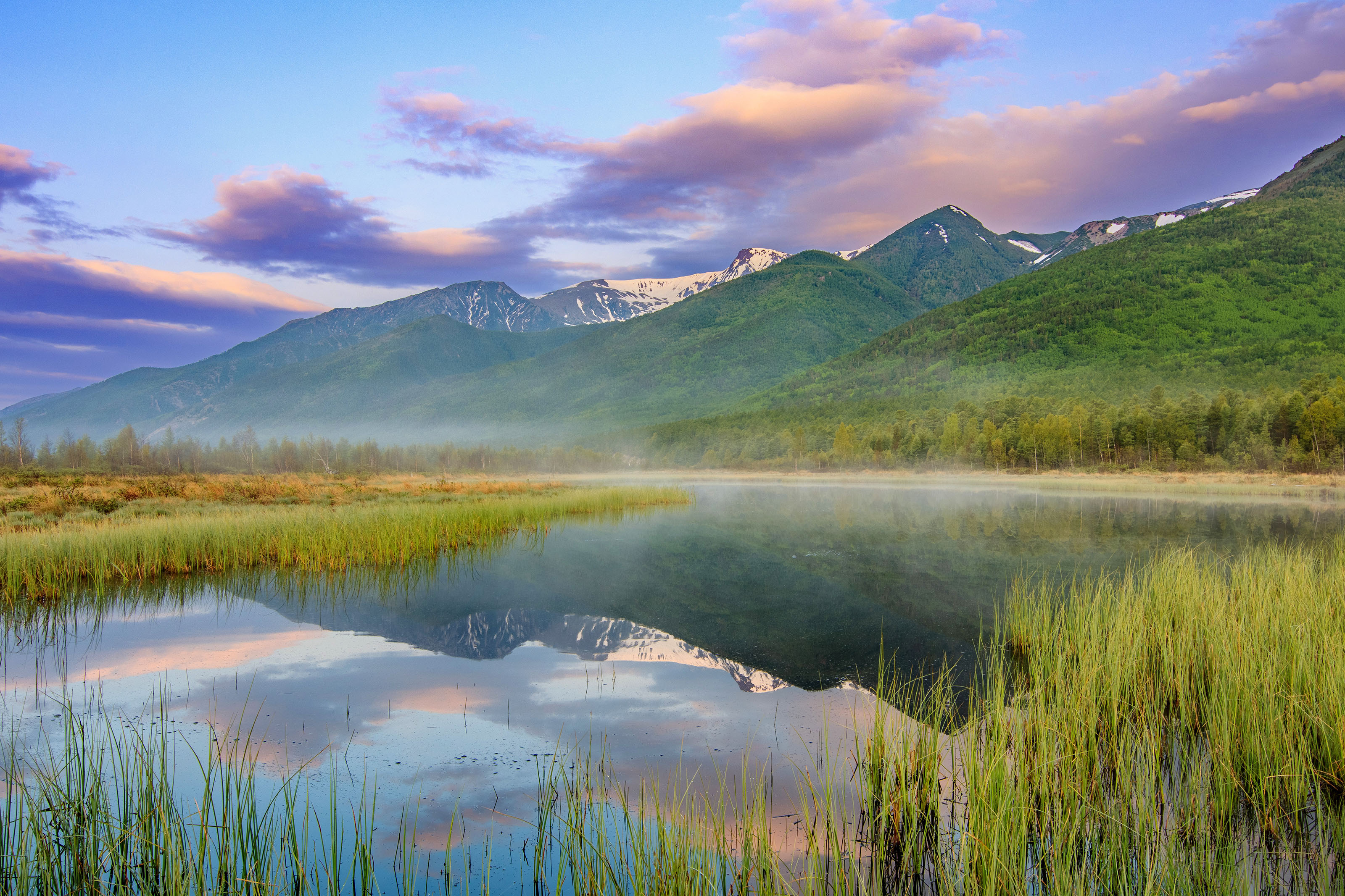 , Добролюбова Тамара