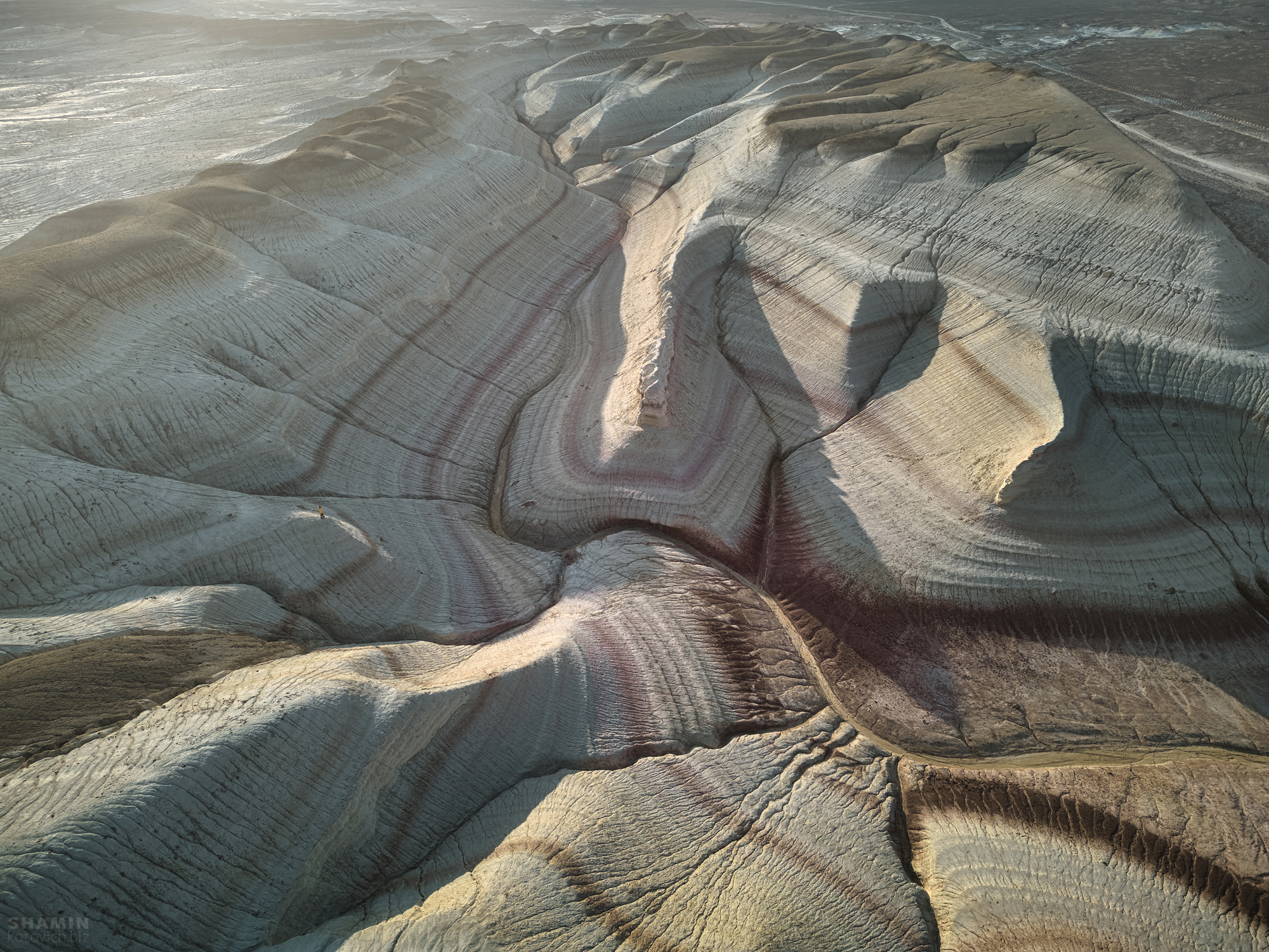 , Константин Шамин