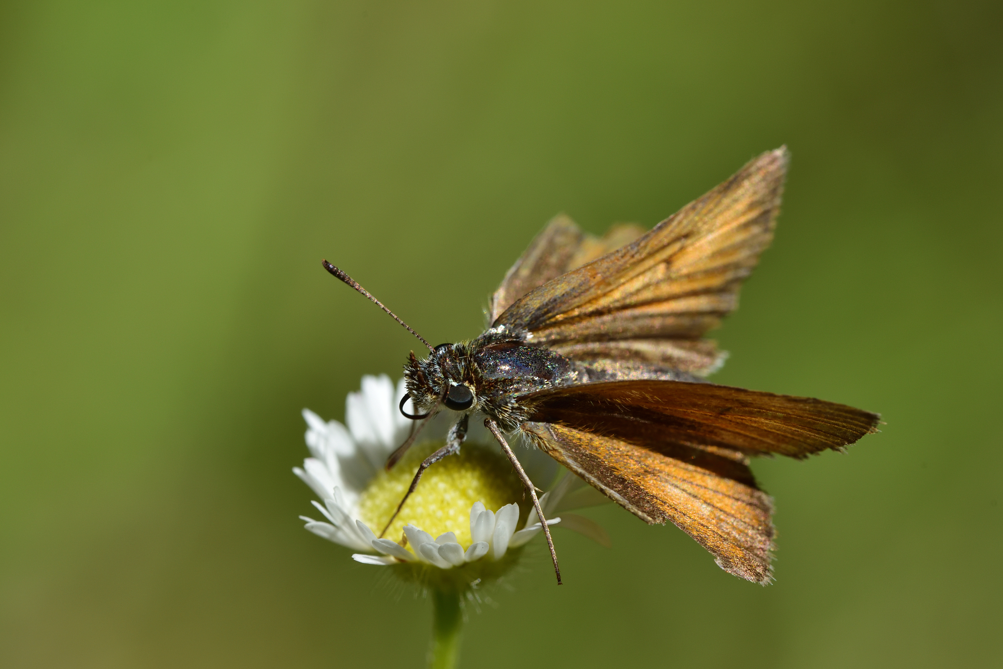 , Корнейчук Игорь