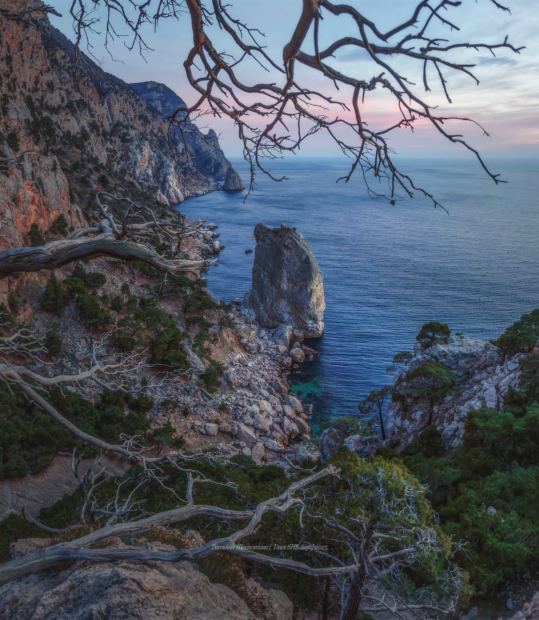 севастополь, крым, seascape, пейзаж, crimea, landscape, морской пейзаж, мыс айя, закат, инжир, Щепотина Татьяна