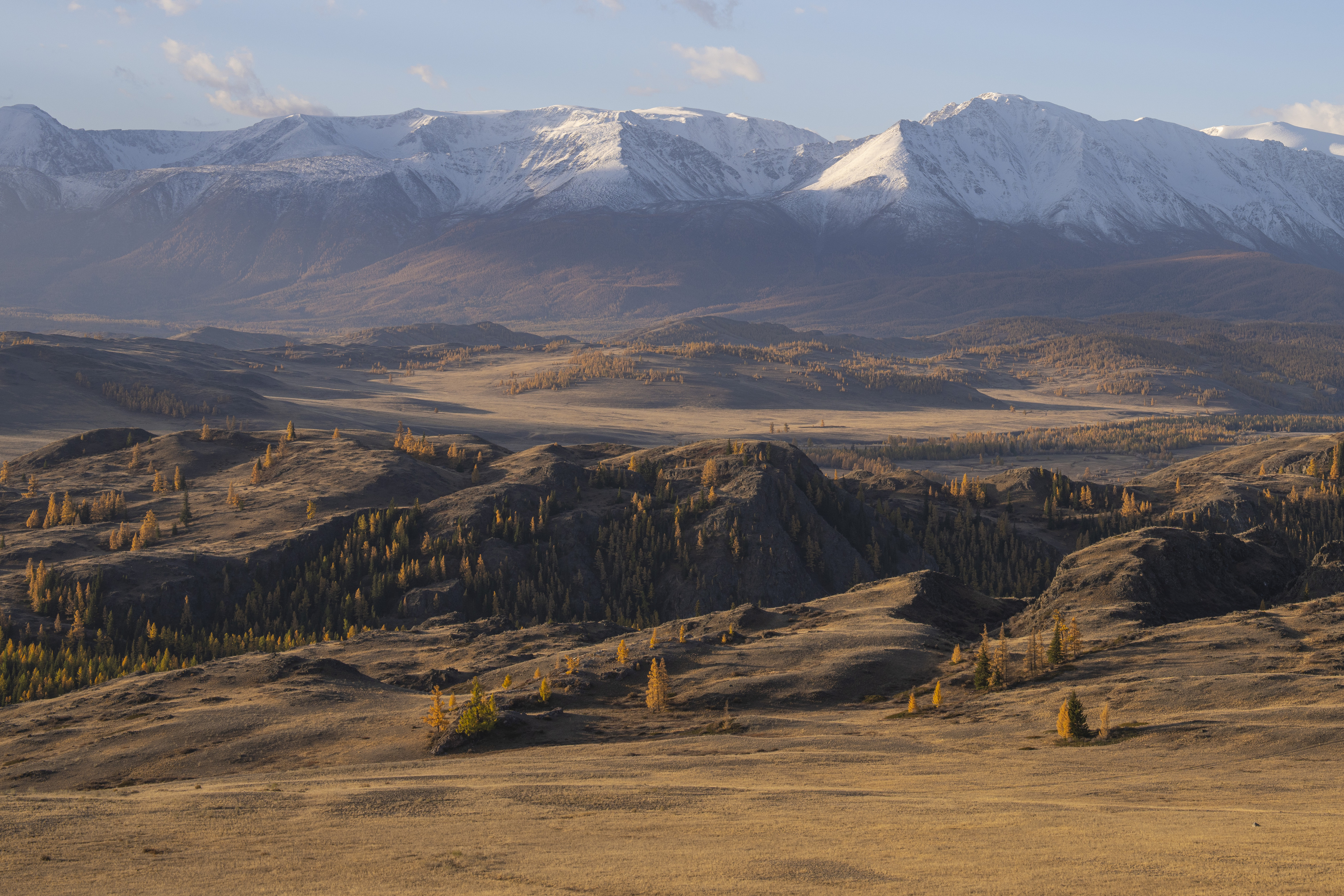 алтай, осень, горы,, Дейнекина Галина