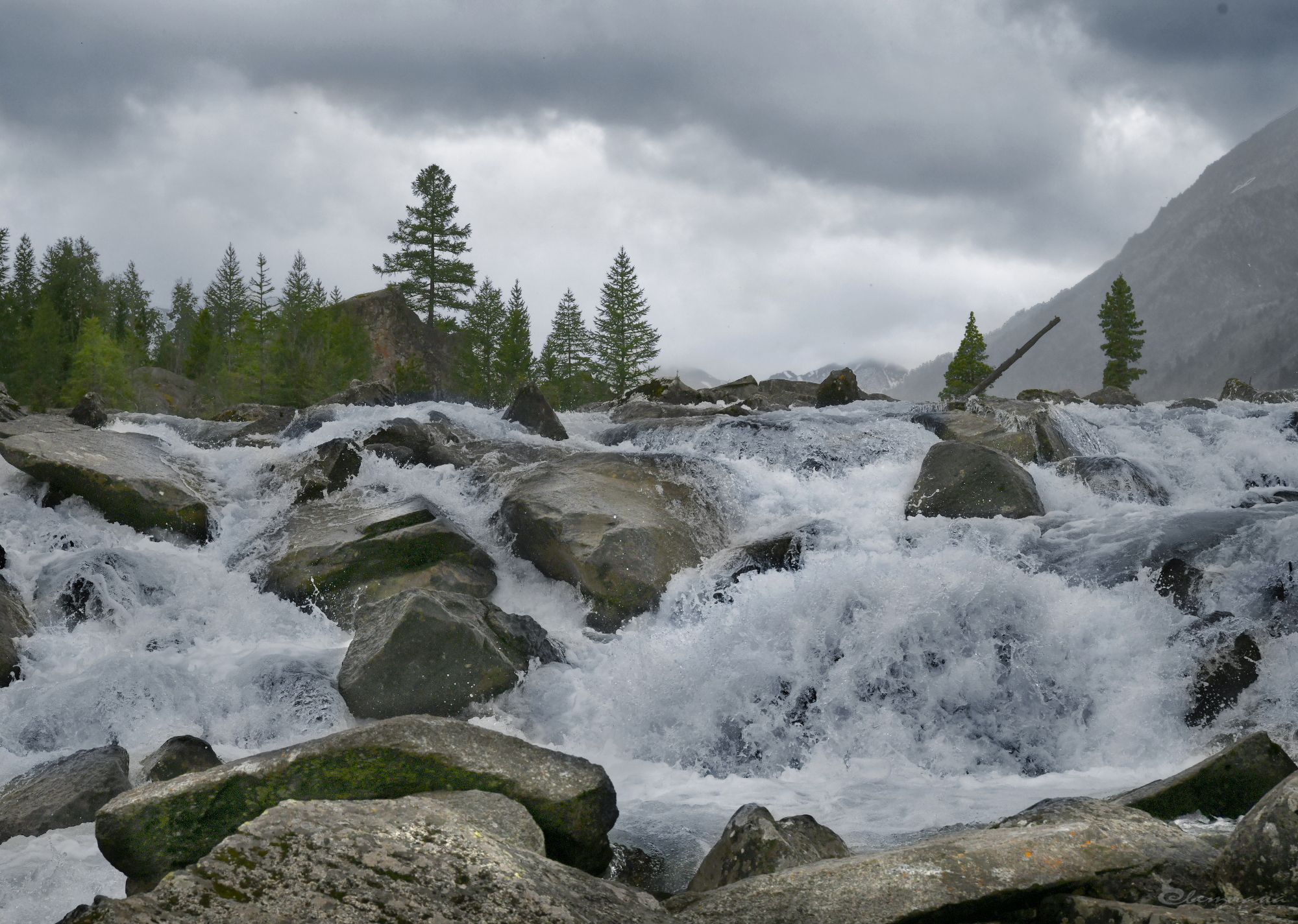 , Крат Светлана