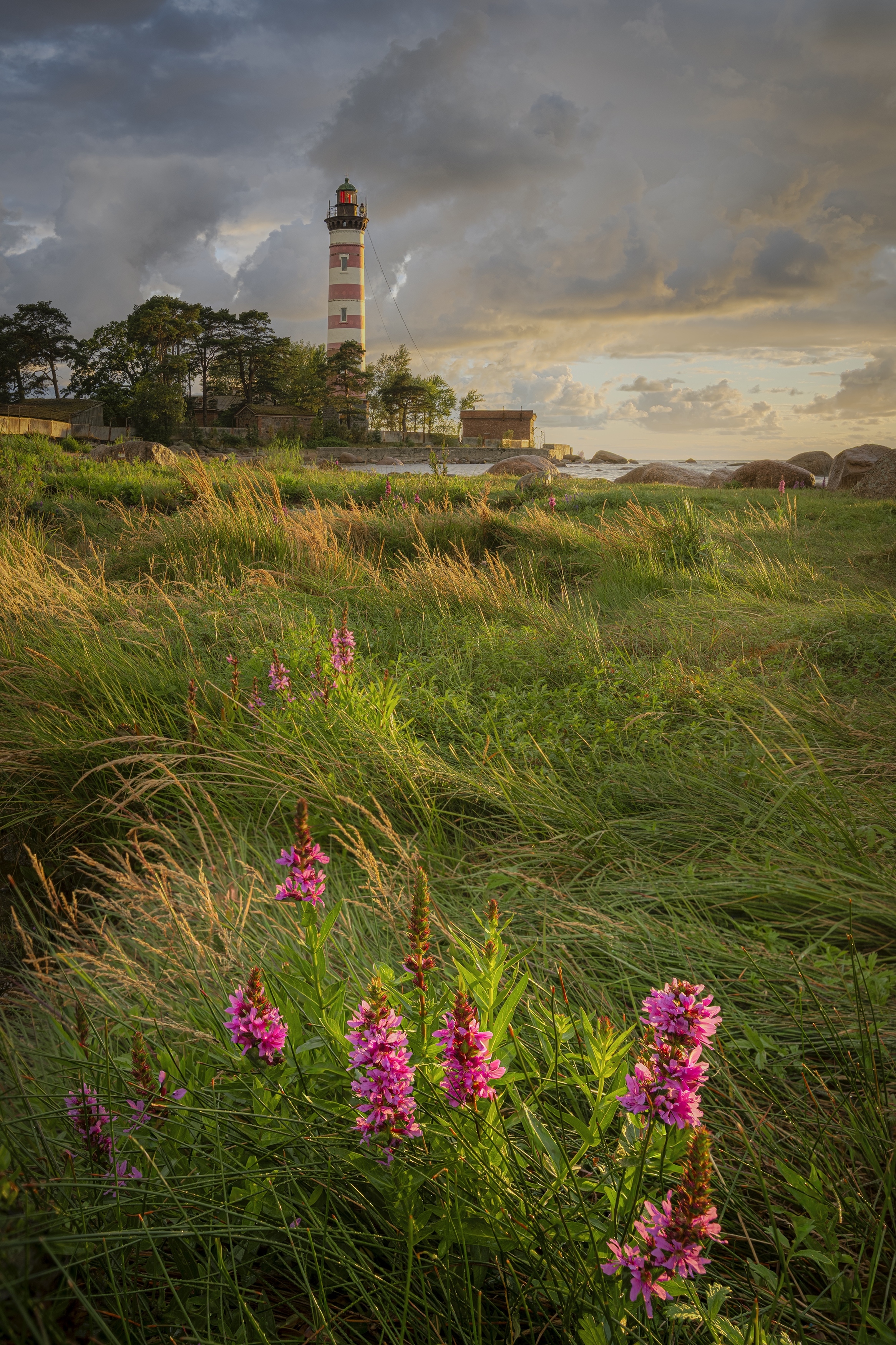 шепелёвский маяк , финский залив , золотой час , закат, Черкасов Александр