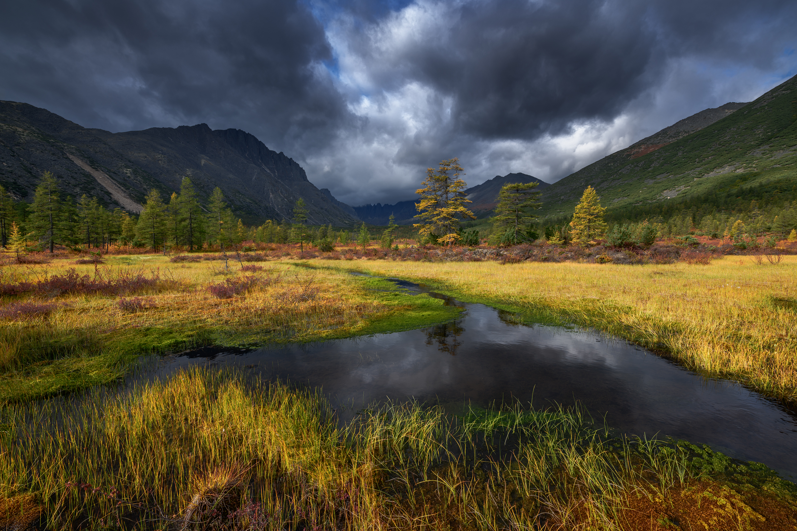 озеро джека лондона, Евдокимов Максим