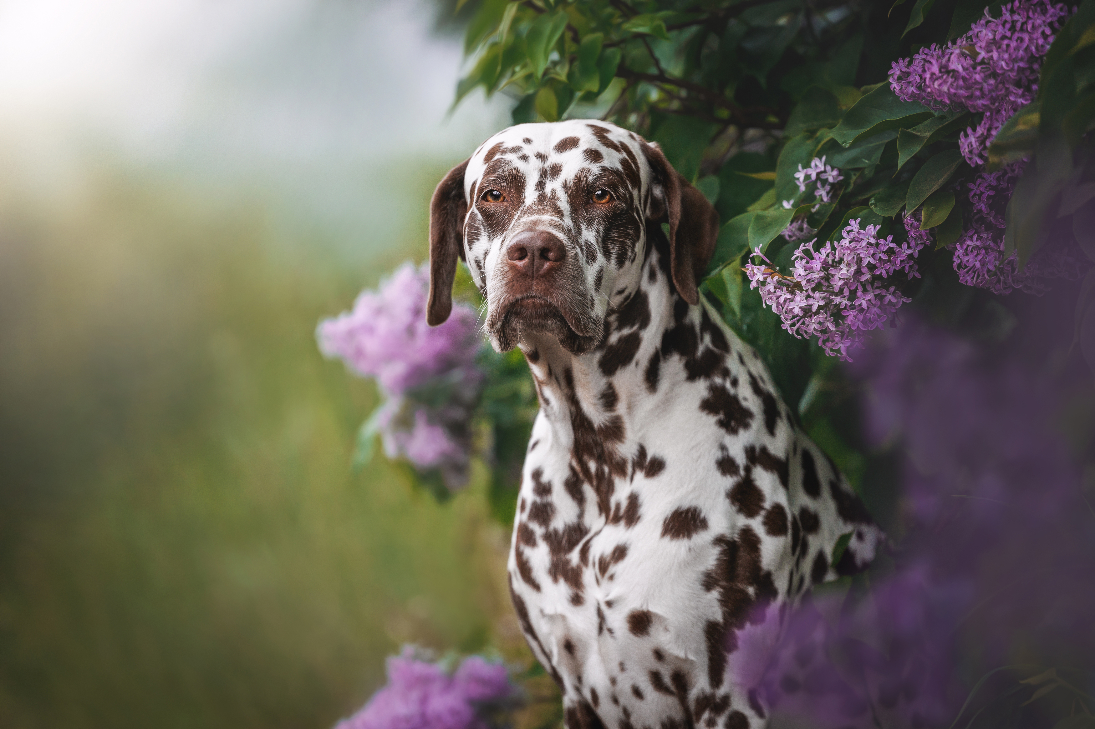 , Яна Нарбутович