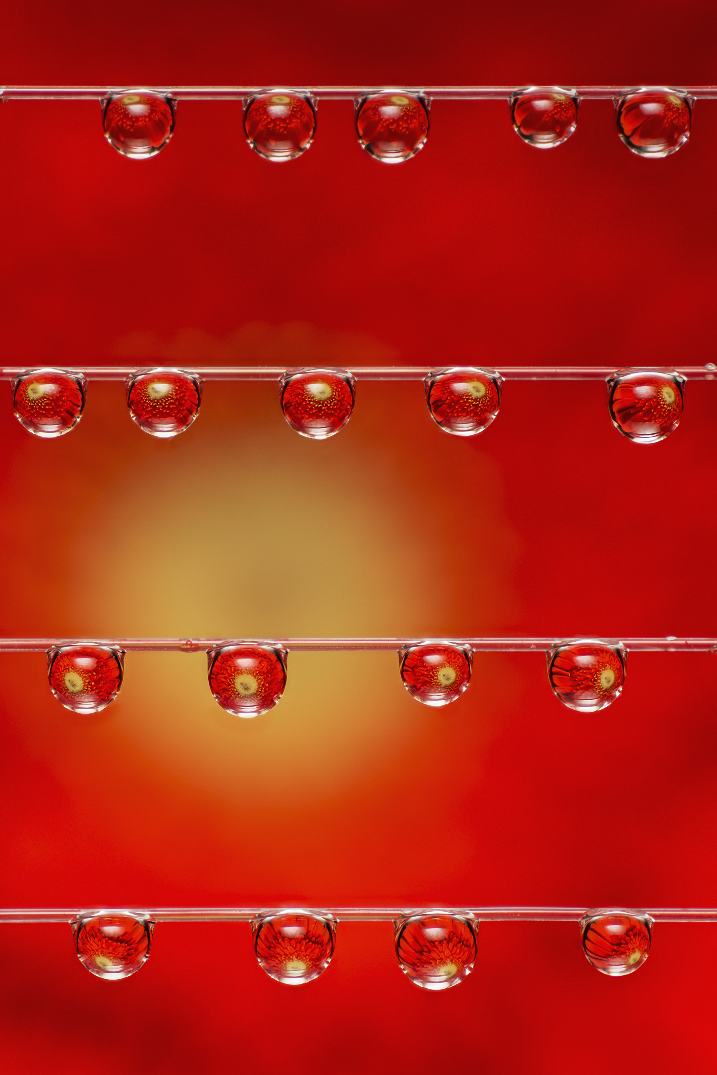 , Максим Вышарь