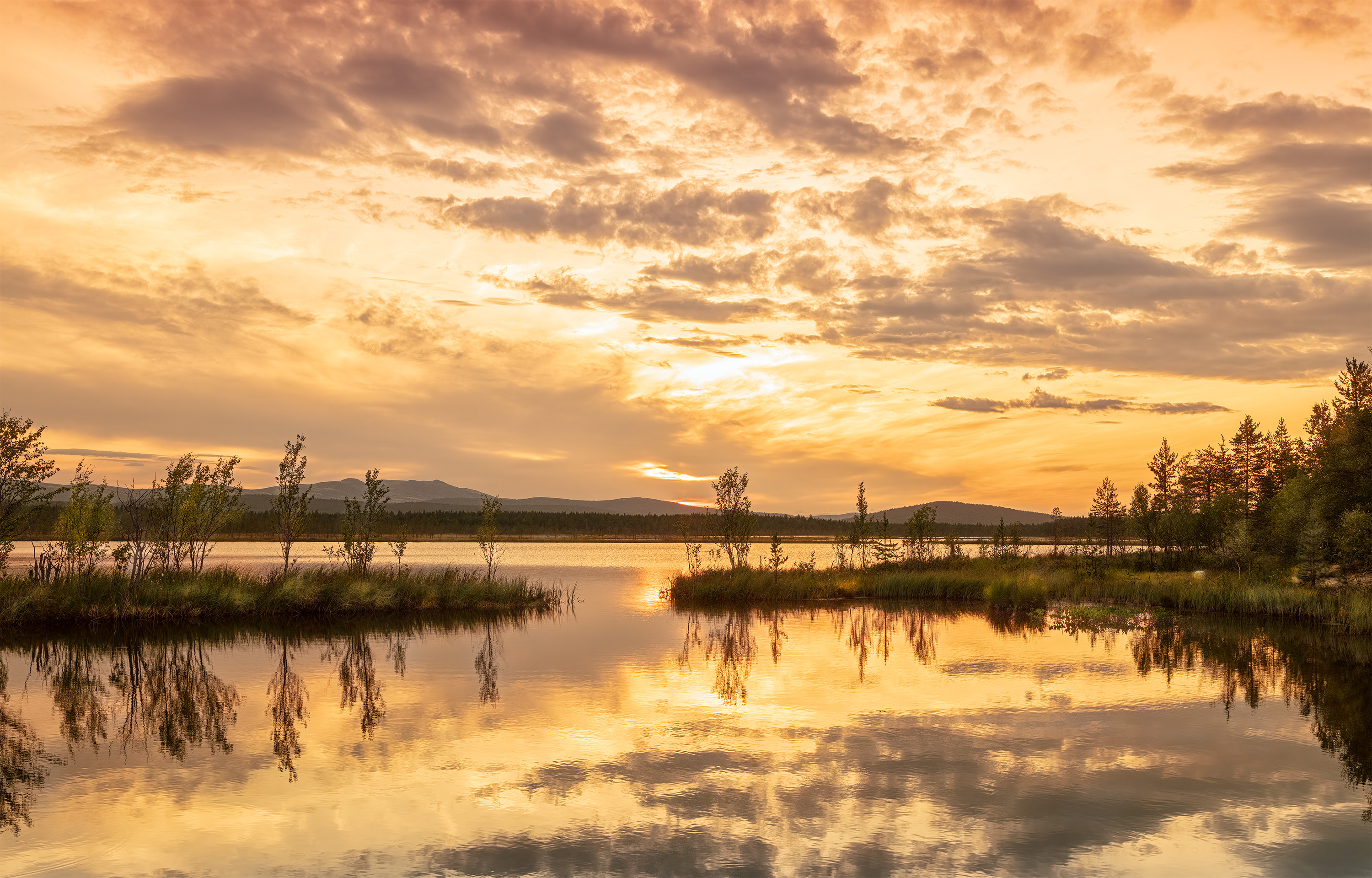 , Ворошилов Александр