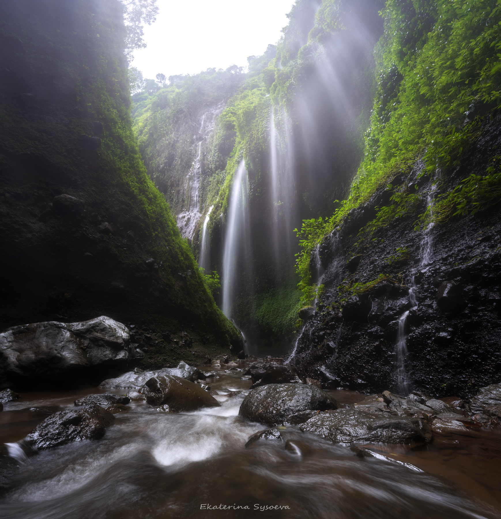 , Екатерина Сысоева