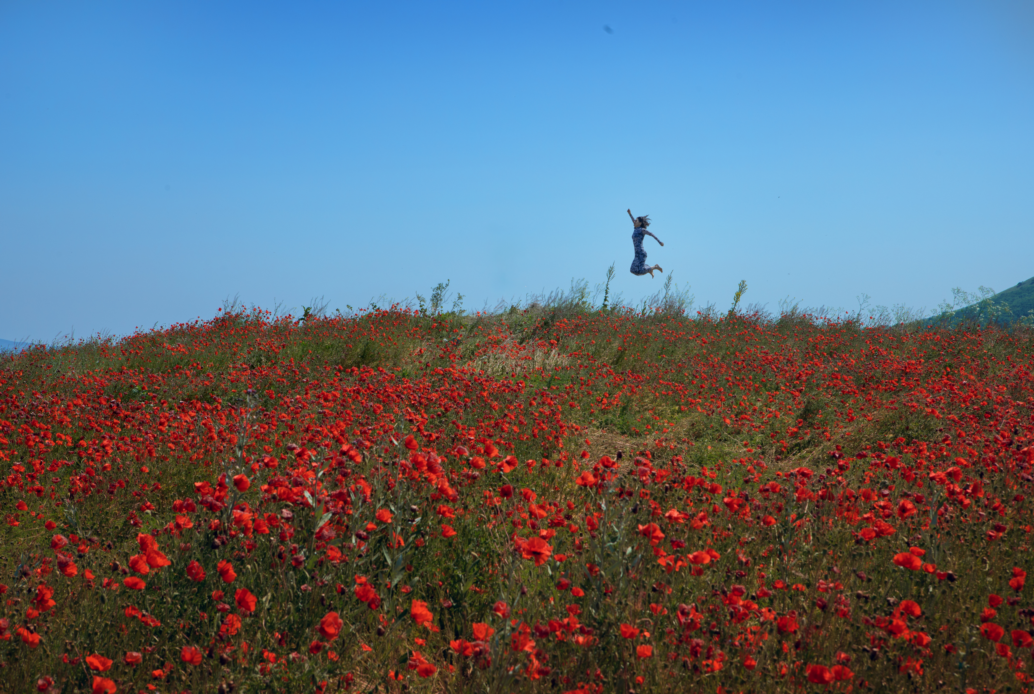 , Туева Наталья
