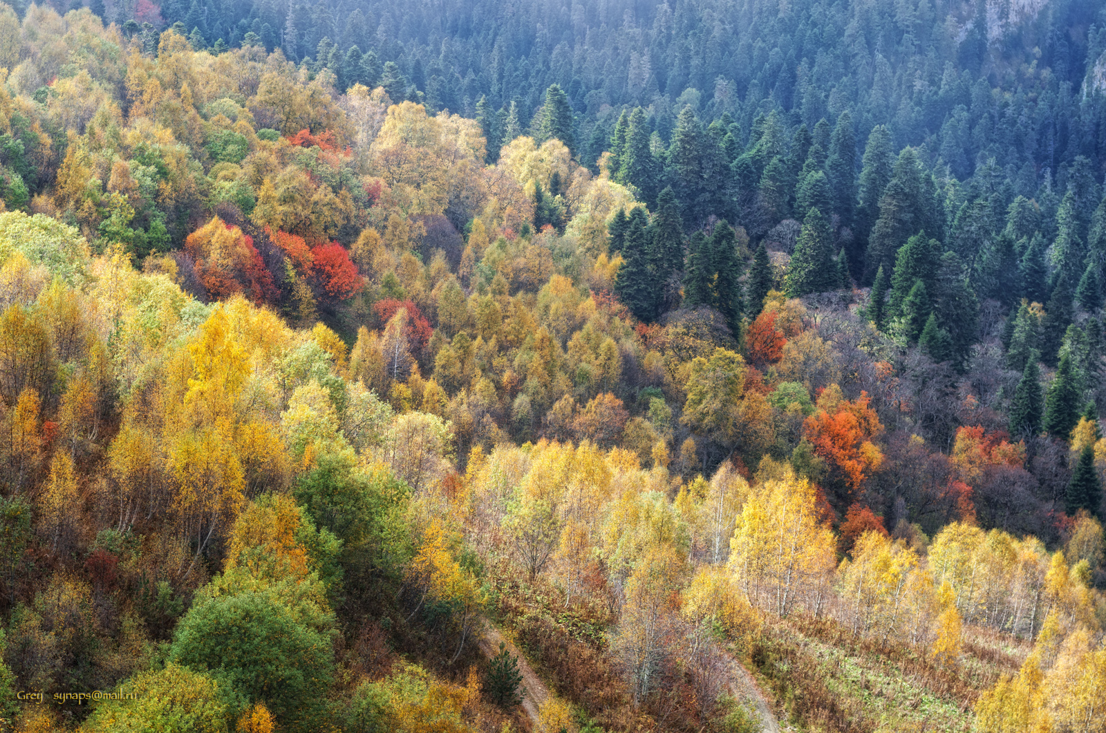 осень горы лес, Сергей Павлов