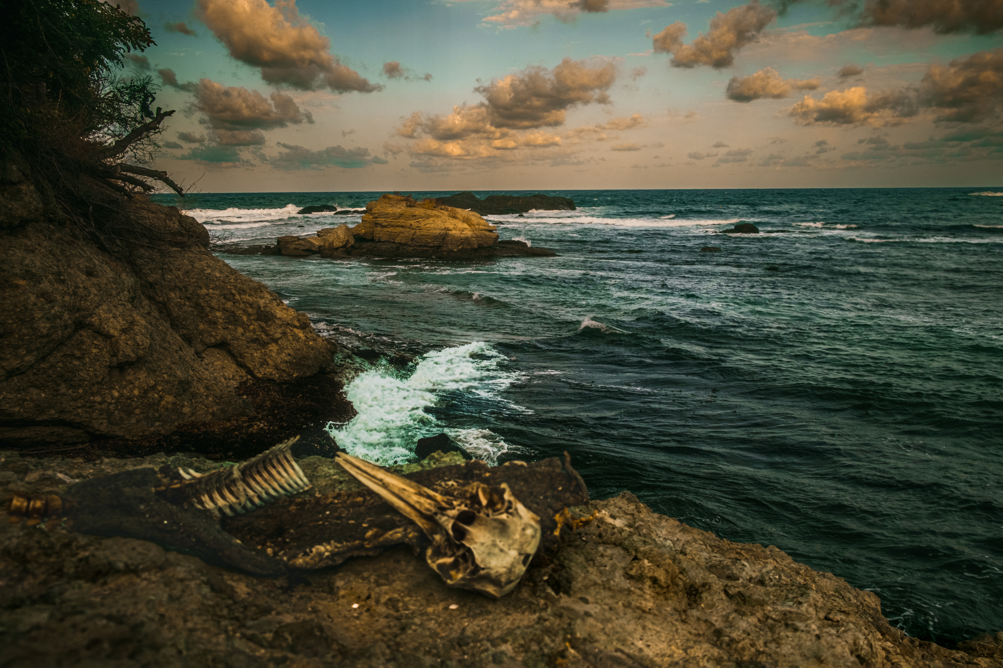 , Николов Андриян