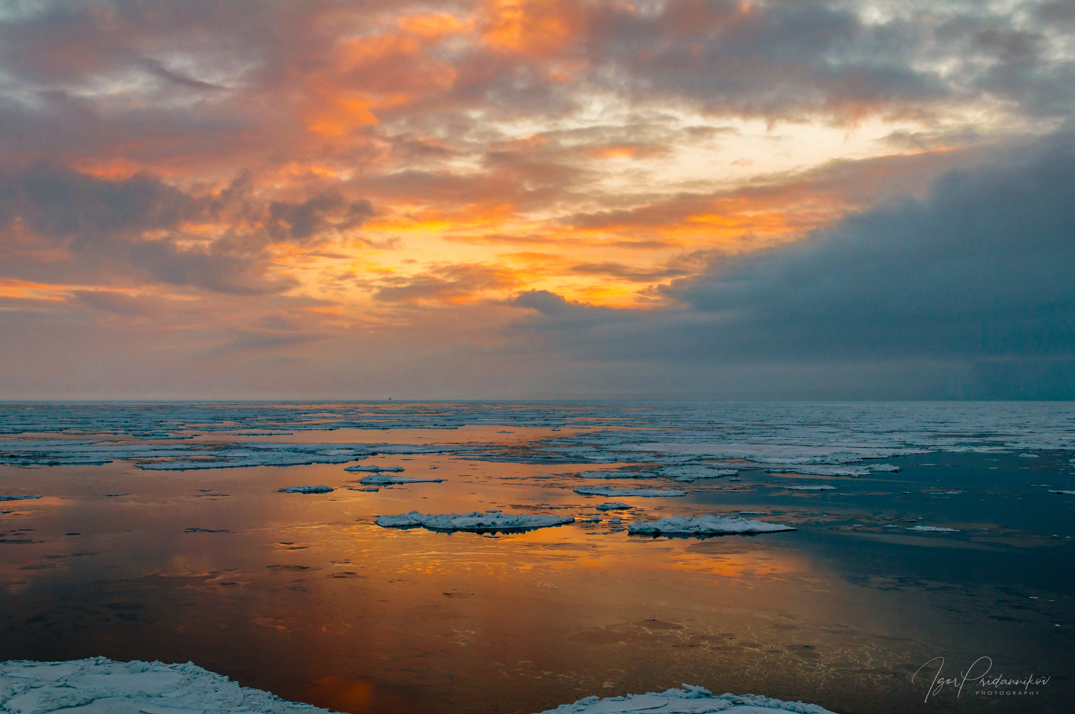 , Игорь Приданников