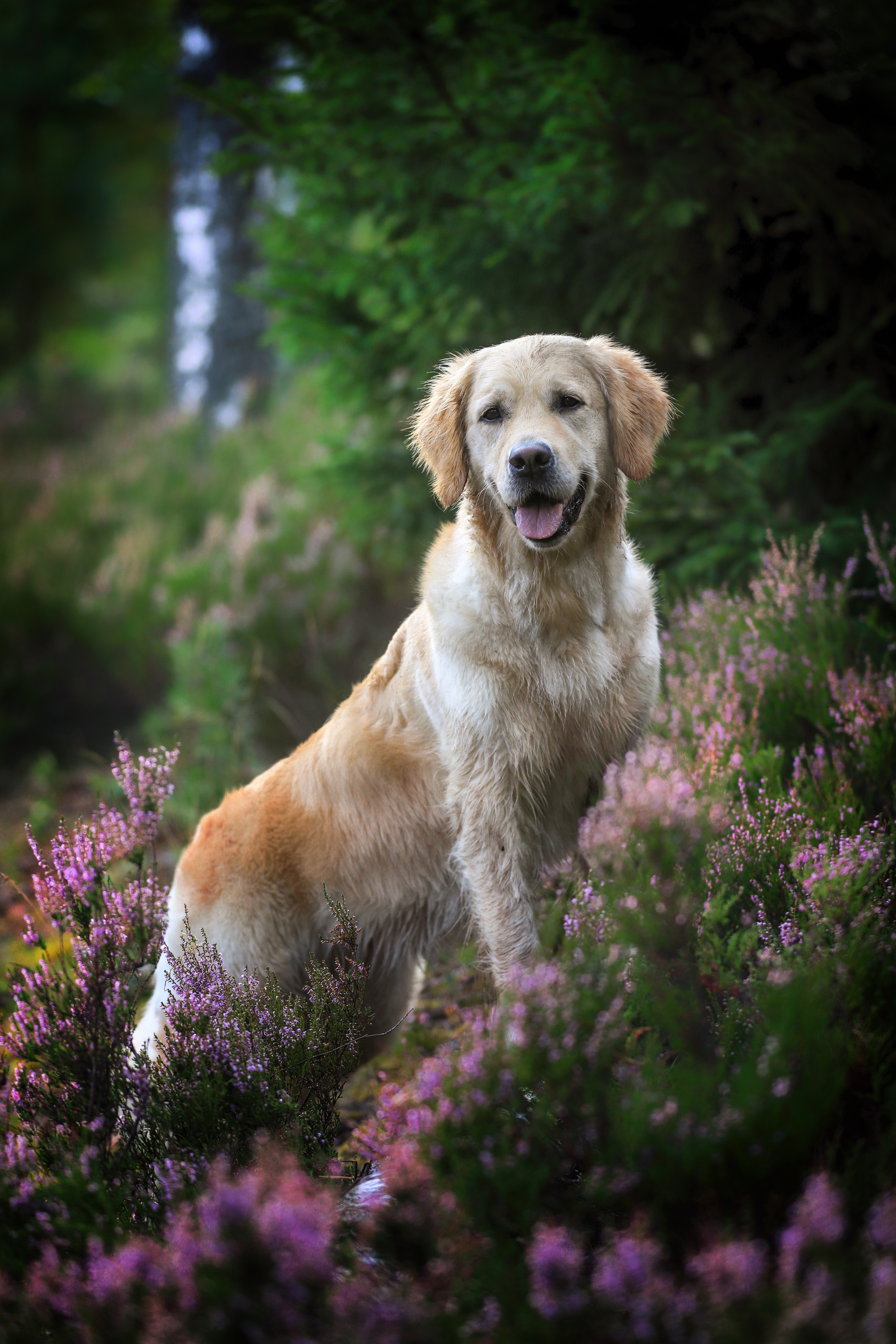 , Андрей Ершов