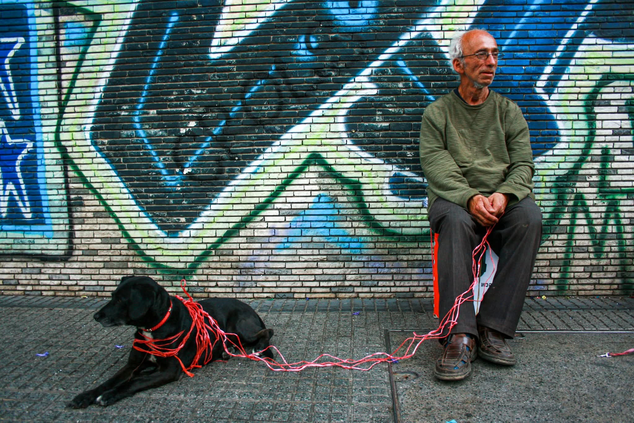 streetphotography, street, fotografía callejera, bastian cifuentes araya, periodista furioso, streetphoto, street photo, street photography, dog, perro, Bastián Cifuentes Araya