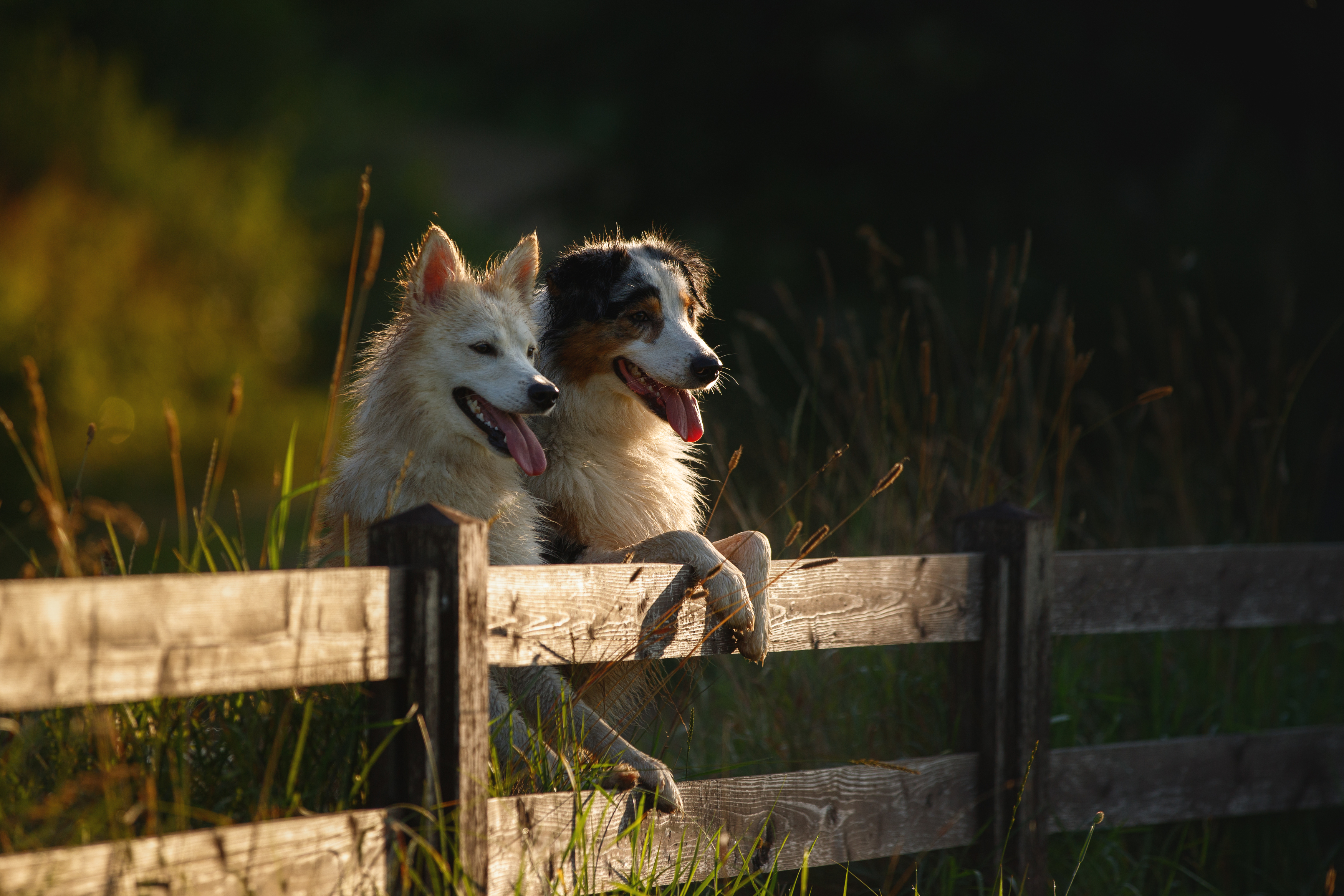 , Шерскова Мария