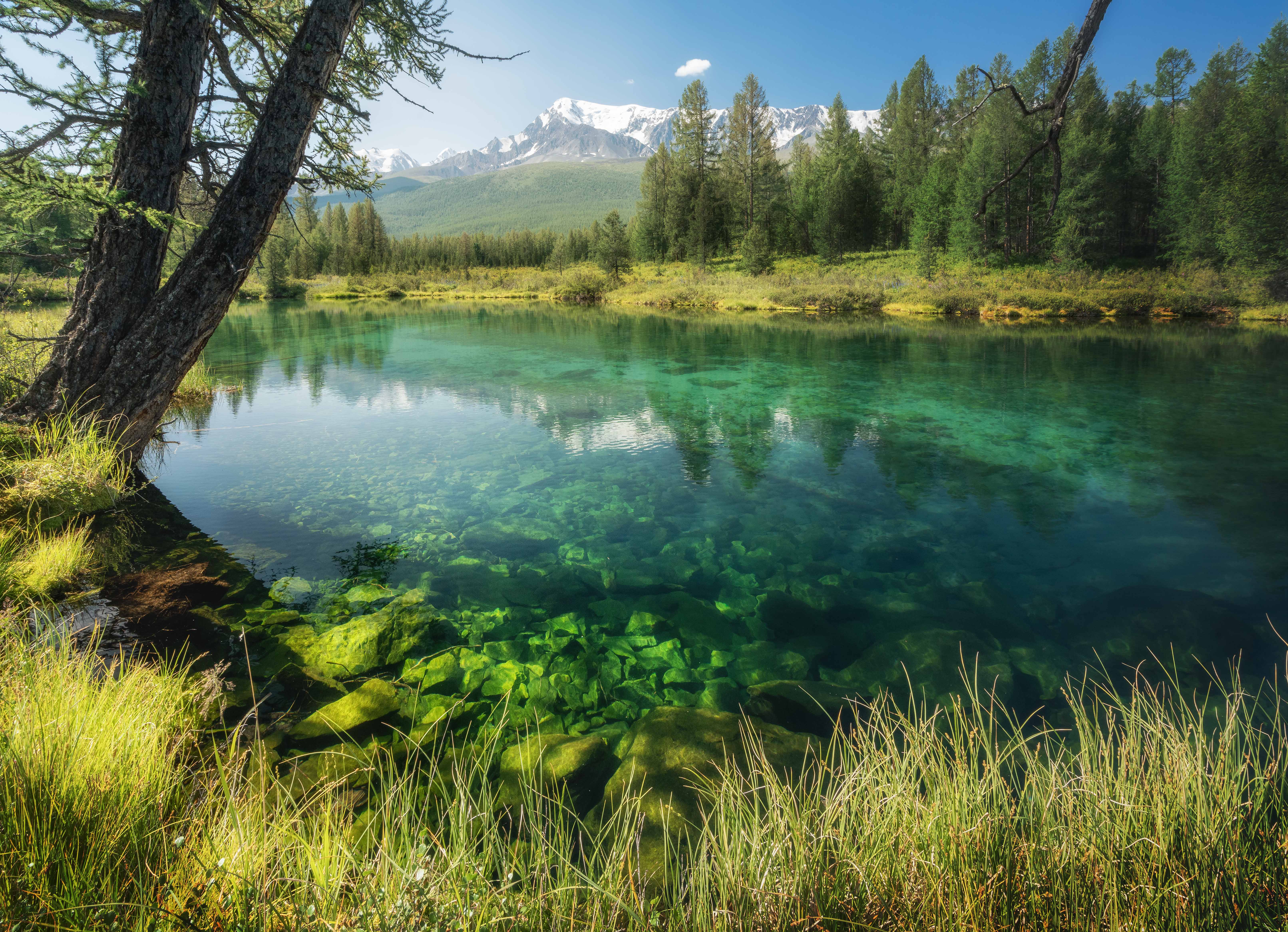 , Важенин Евгений